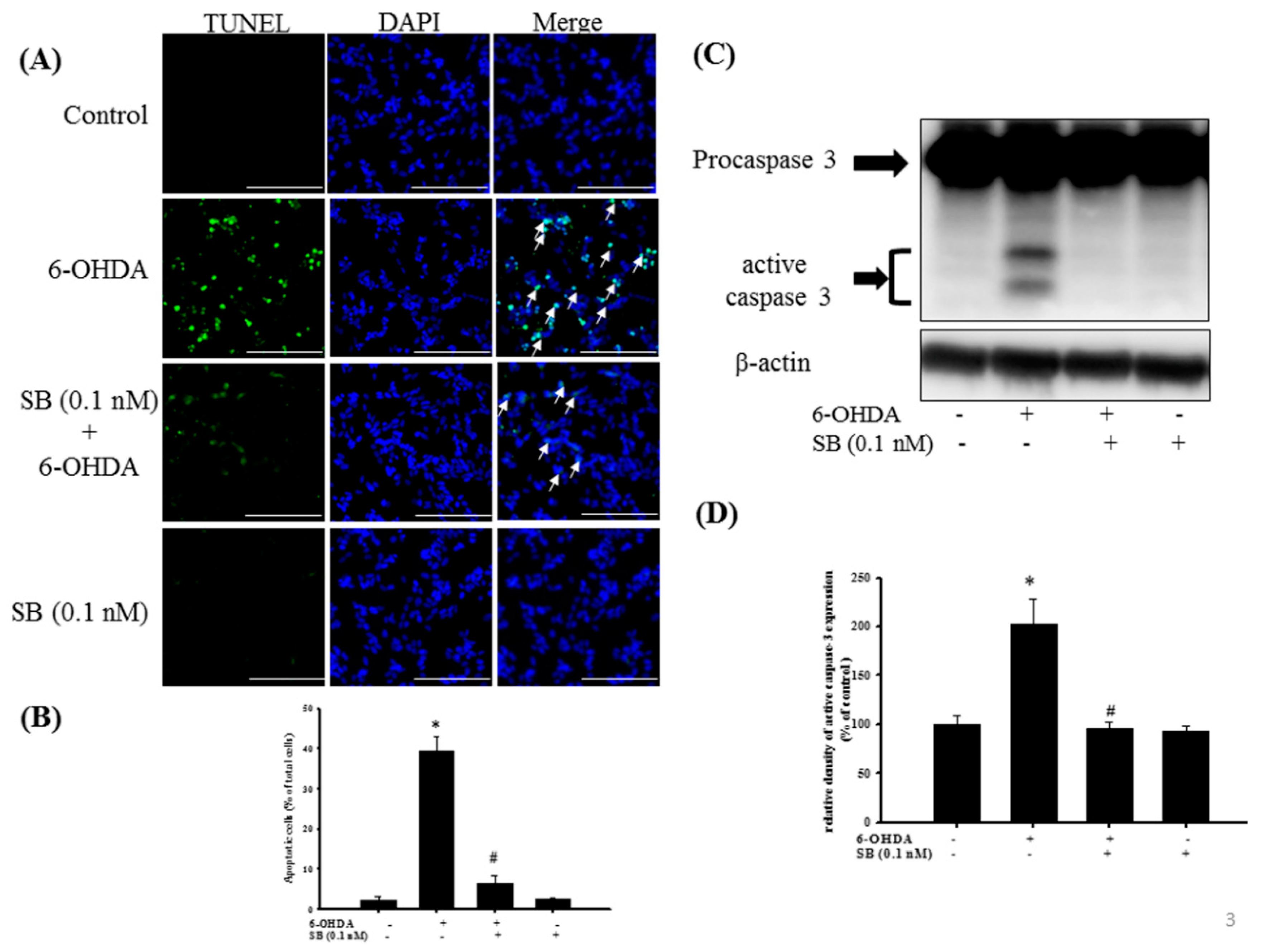 Marinedrugs 17 00315 g003
