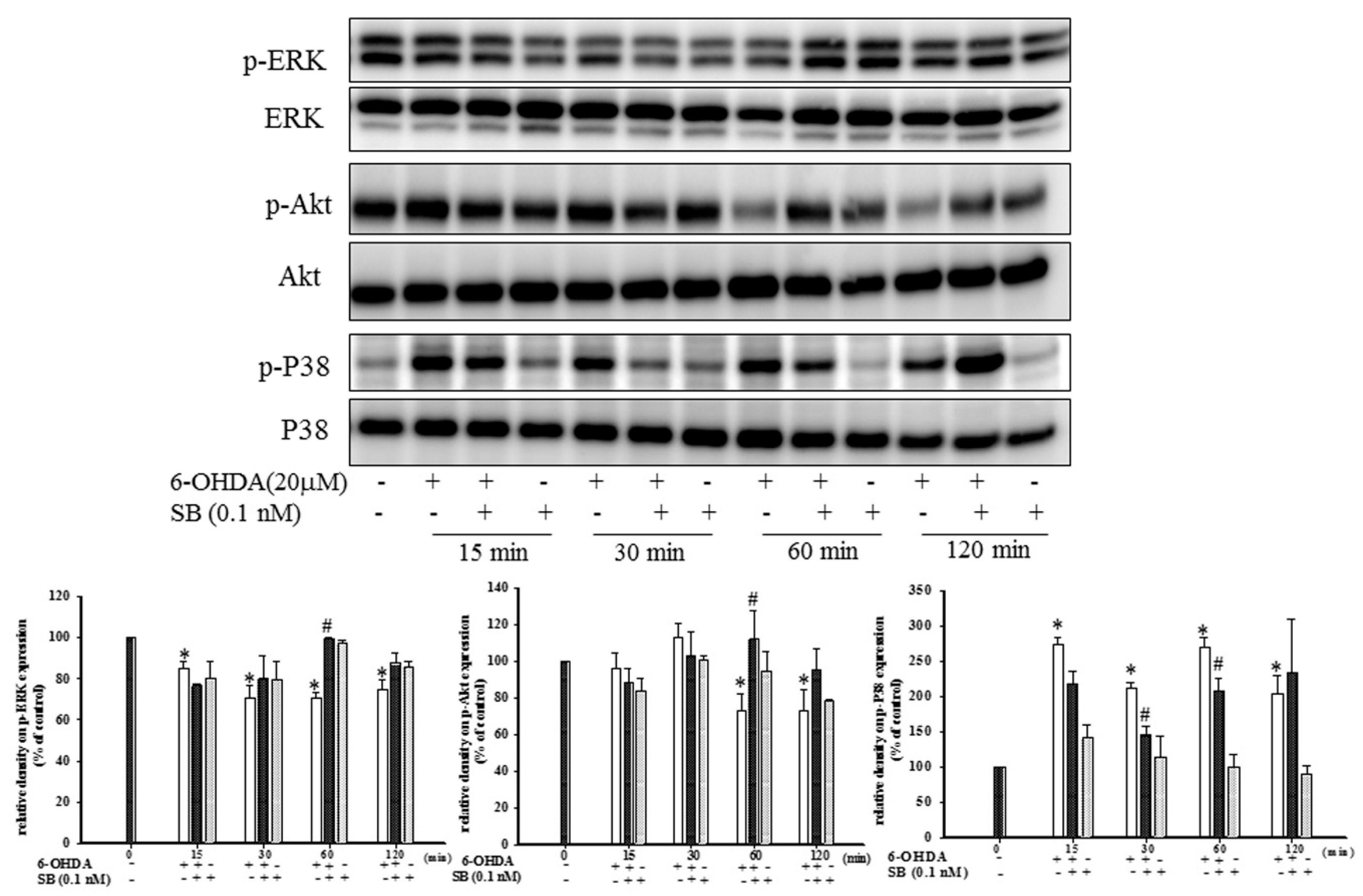 Marinedrugs 17 00315 g004