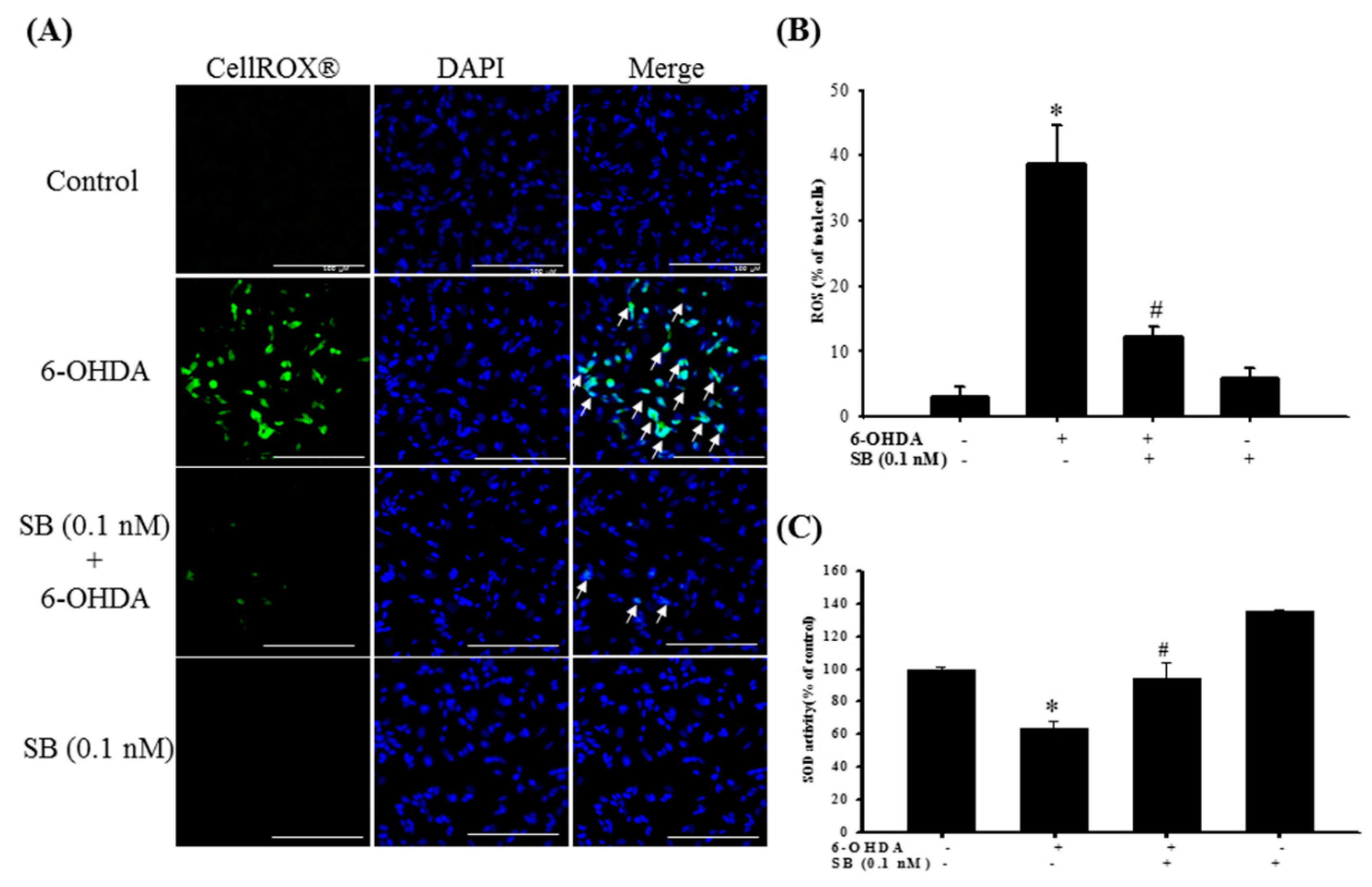 Marinedrugs 17 00315 g005