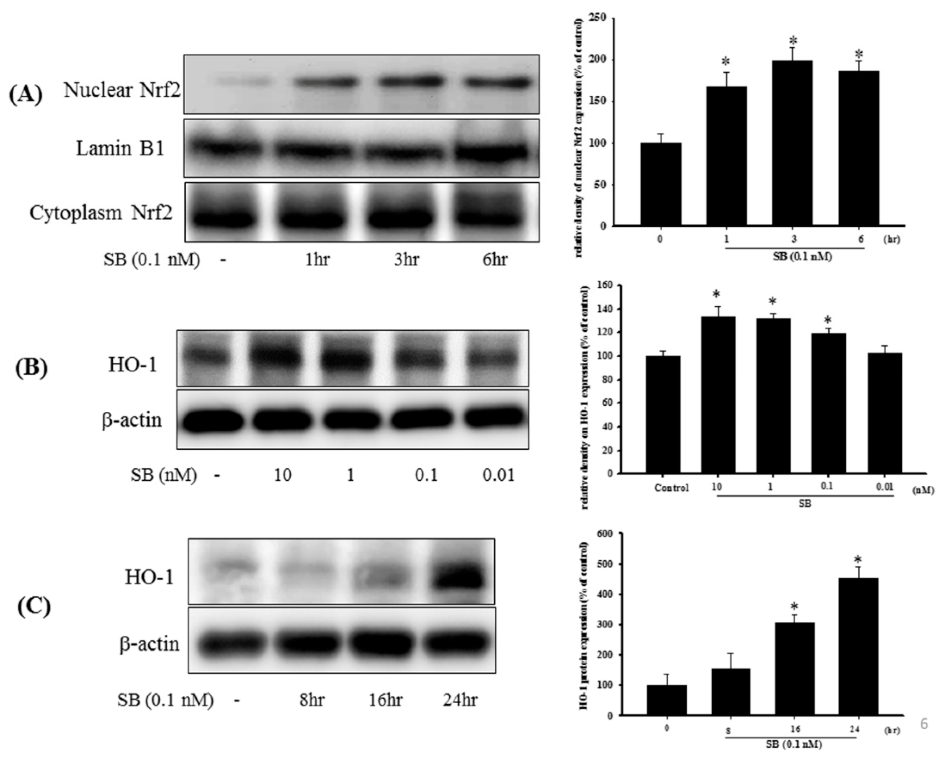 Marinedrugs 17 00315 g006