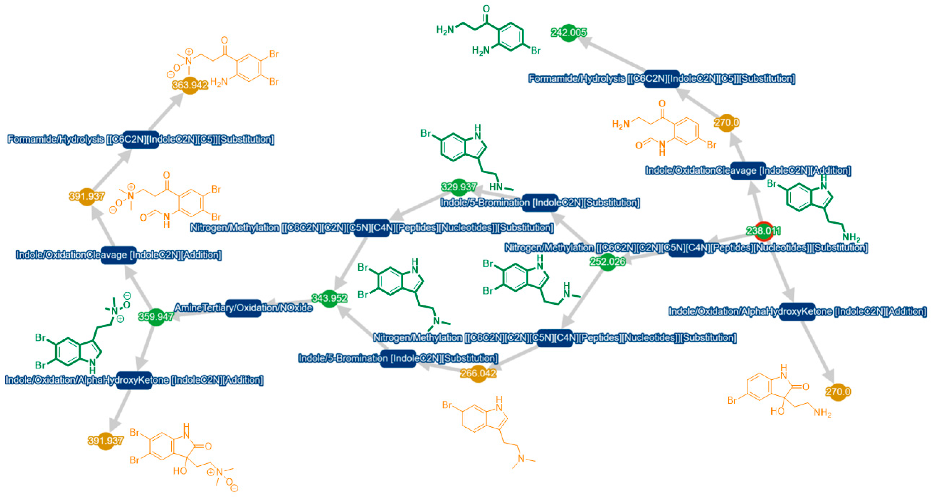 Marinedrugs 17 00319 g007 Marinedrugs 17 00319 g007