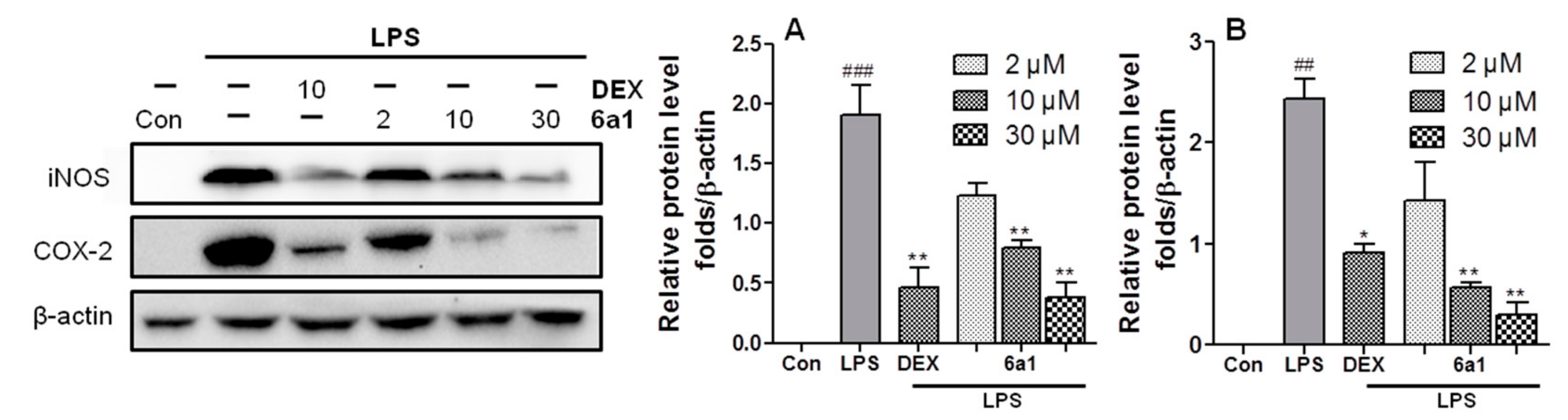 Marinedrugs 17 00321 g004 Marinedrugs 17 00321 g004