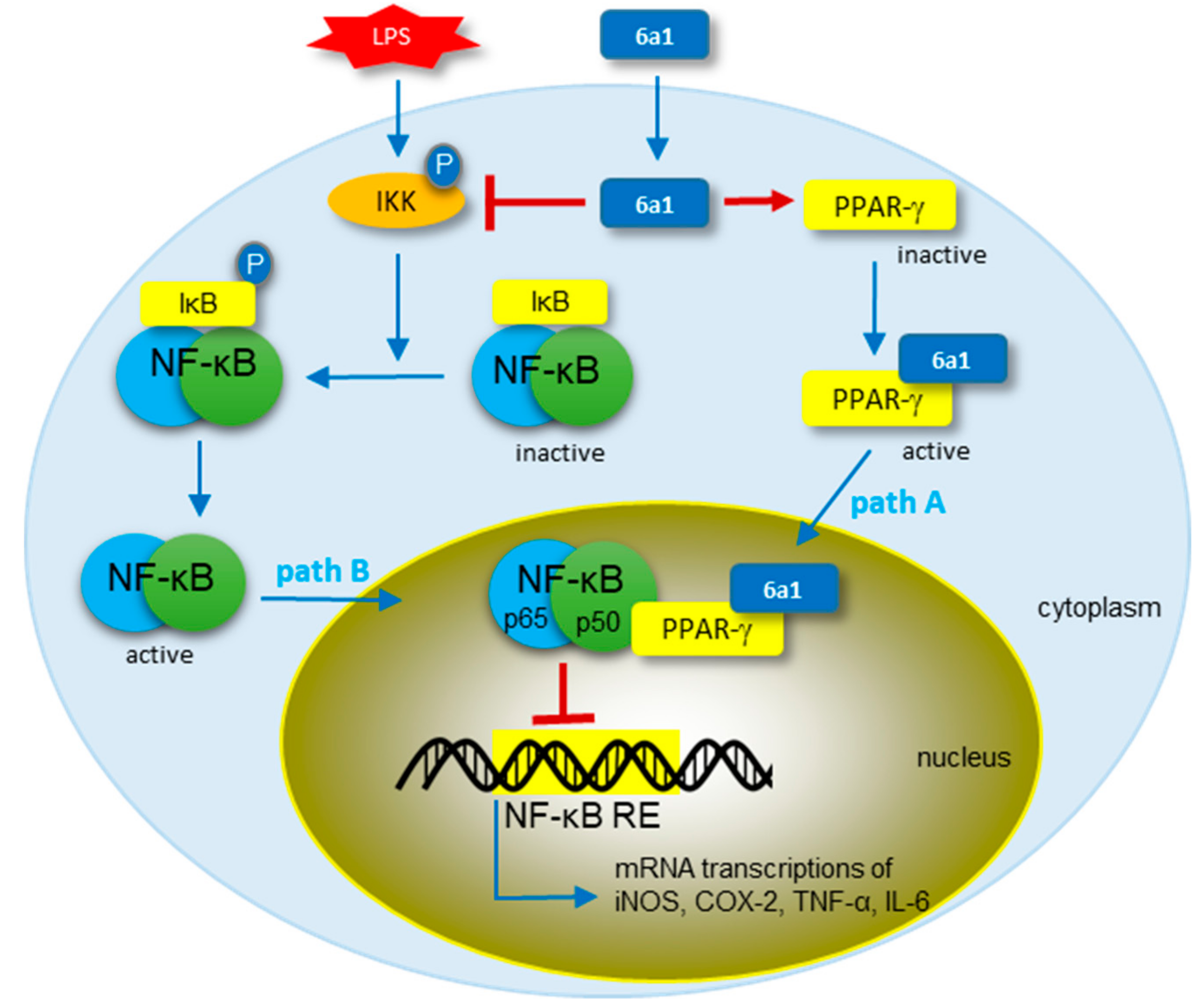 Marinedrugs 17 00321 g006 Marinedrugs 17 00321 g006