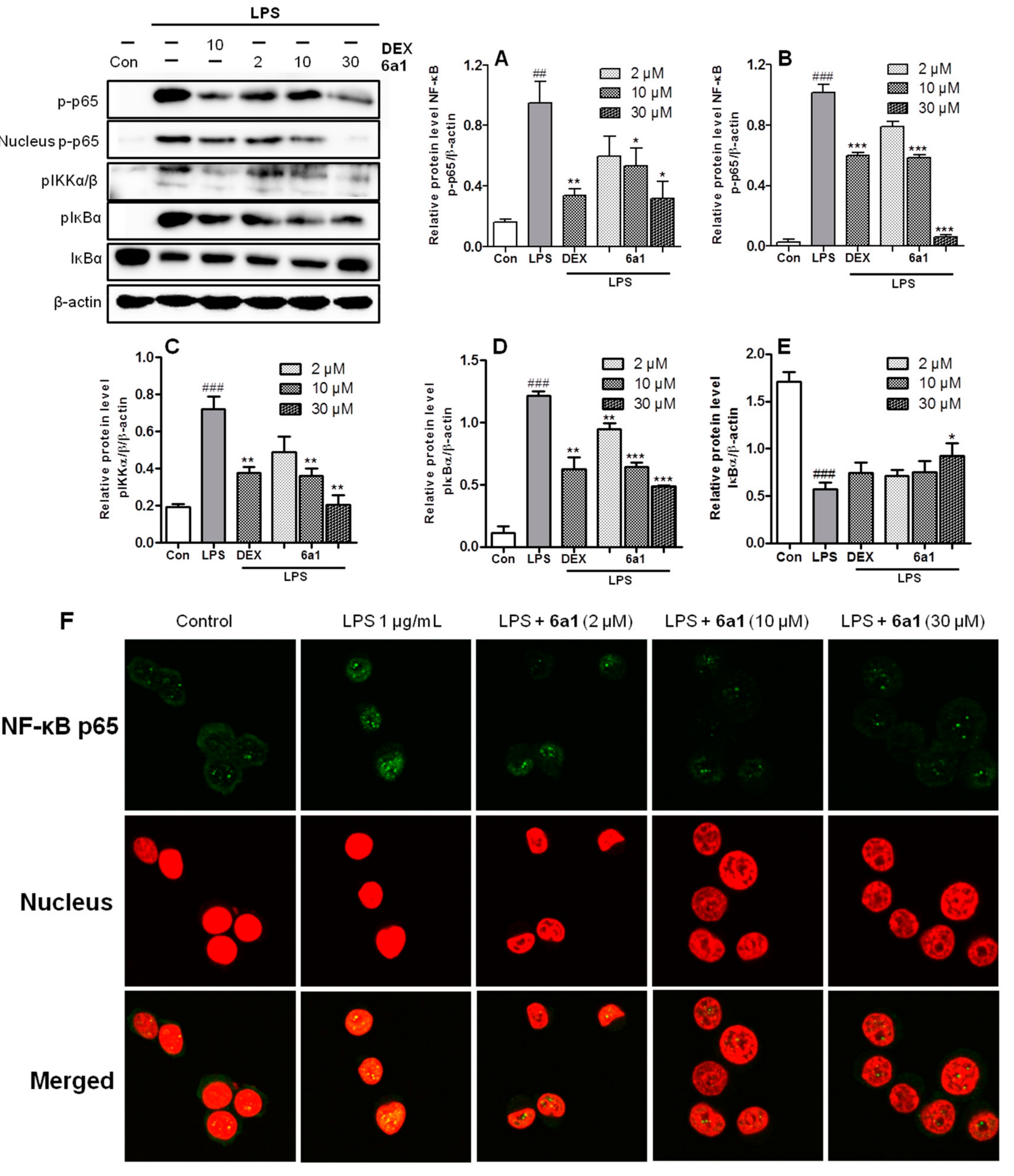 Marinedrugs 17 00321 g007 Marinedrugs 17 00321 g007