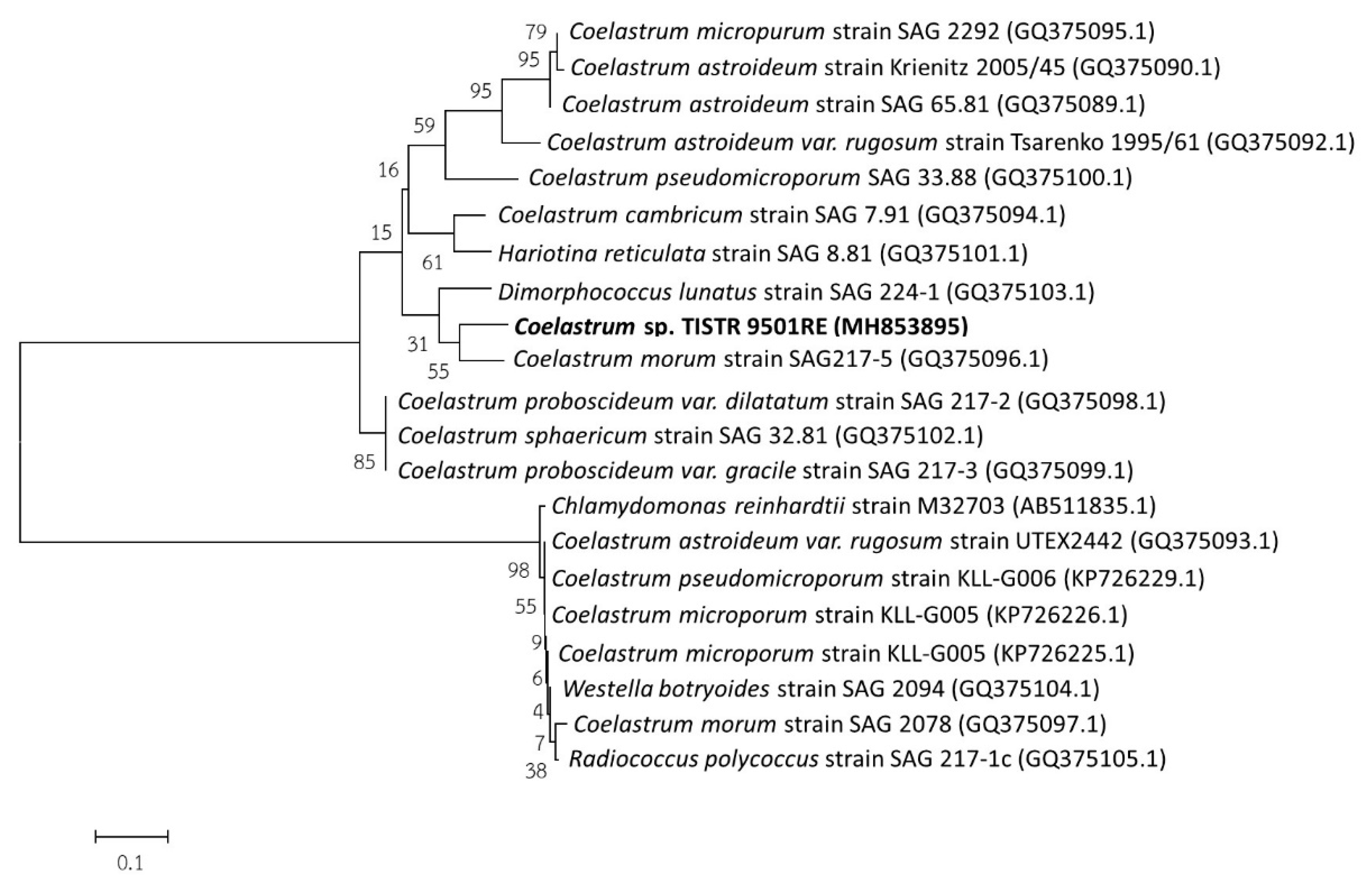 Marinedrugs 17 00328 g003