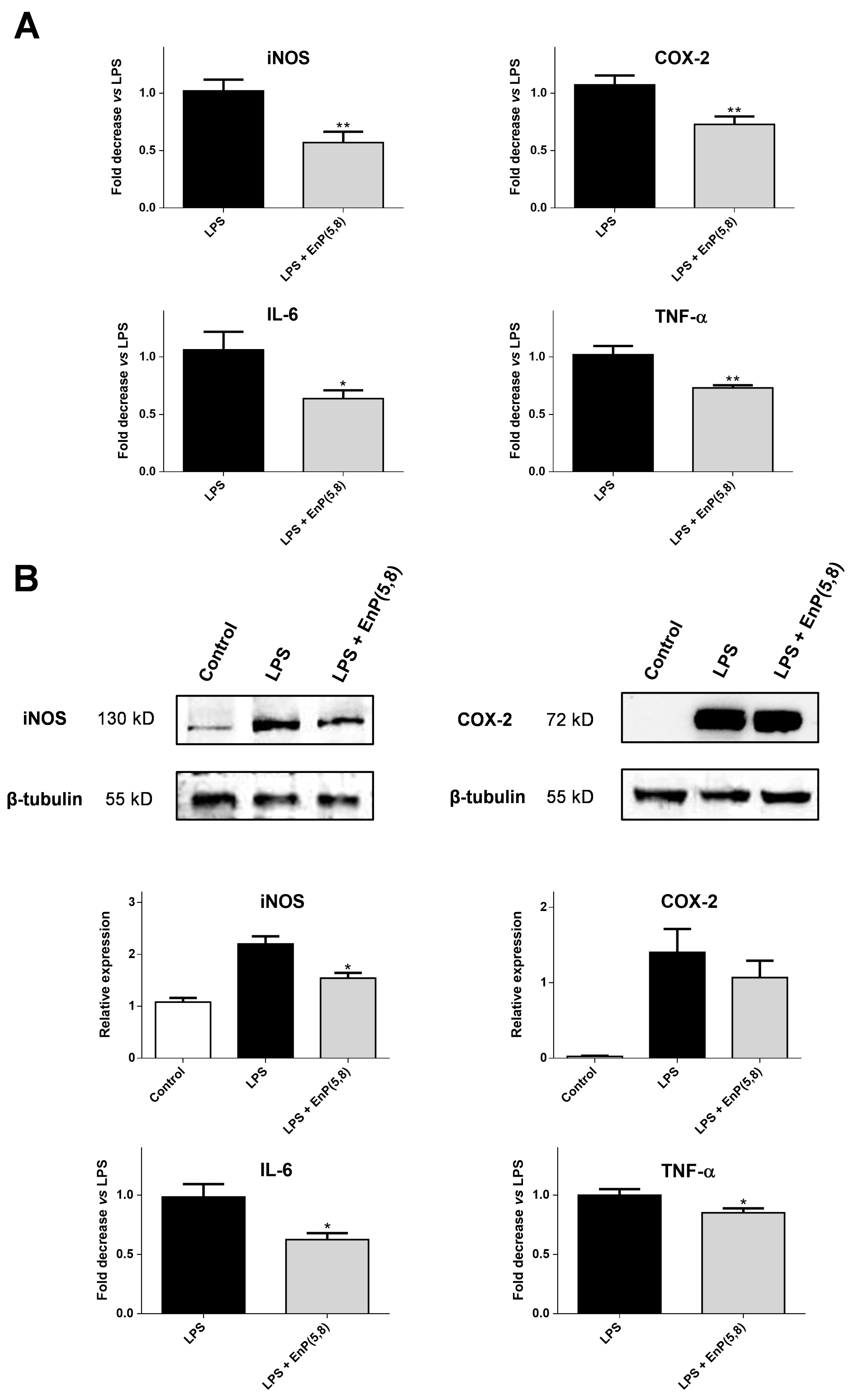 Marinedrugs 17 00330 g005