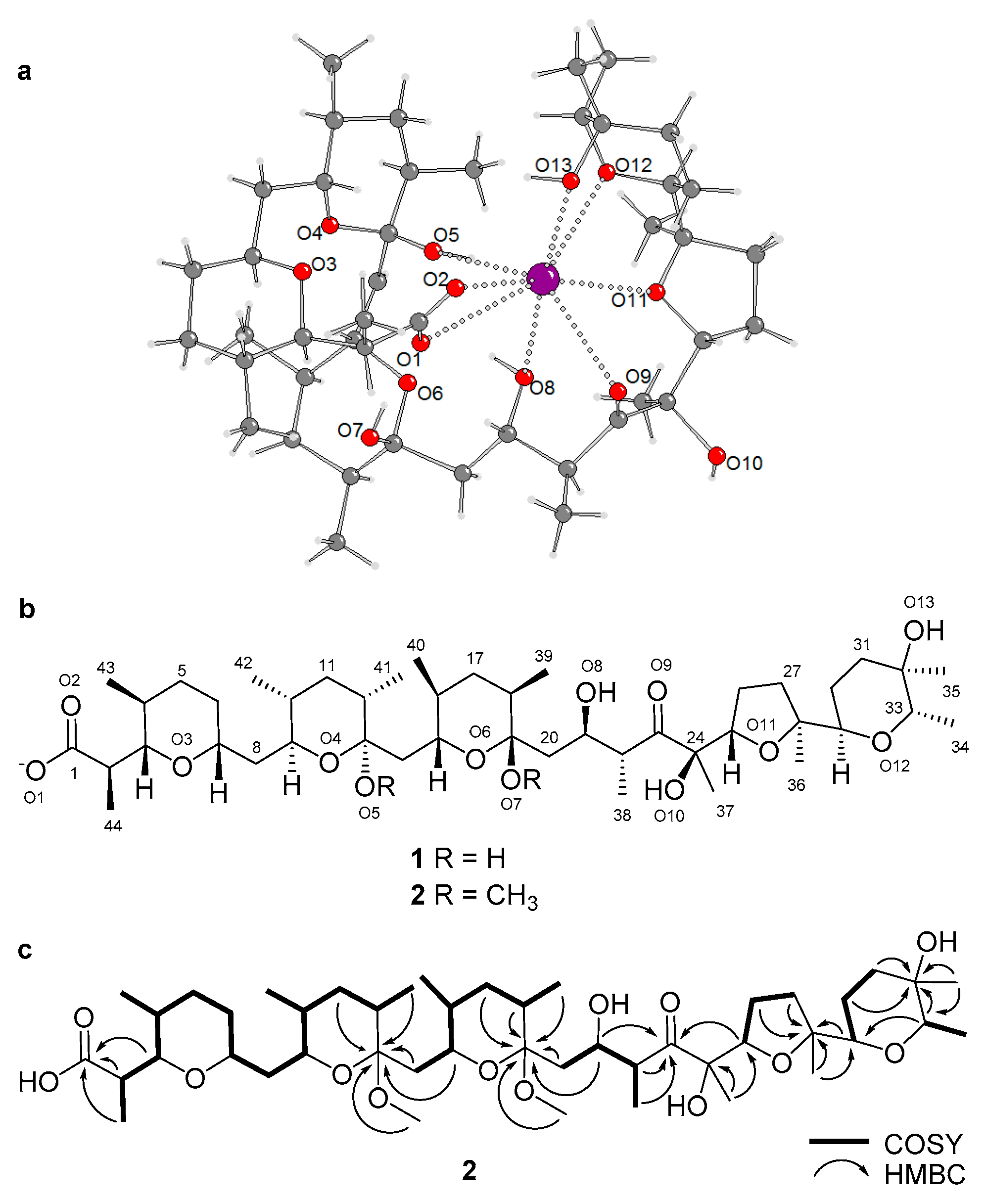 Marinedrugs 17 00347 g003 Marinedrugs 17 00347 g003