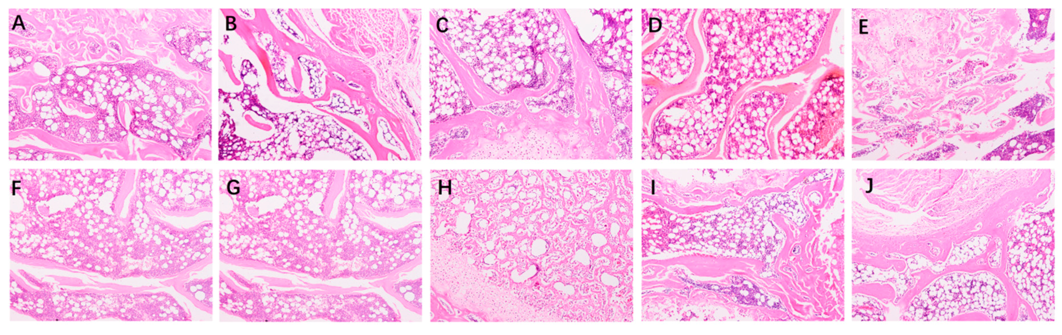 Marinedrugs 17 00348 g004 Marinedrugs 17 00348 g004