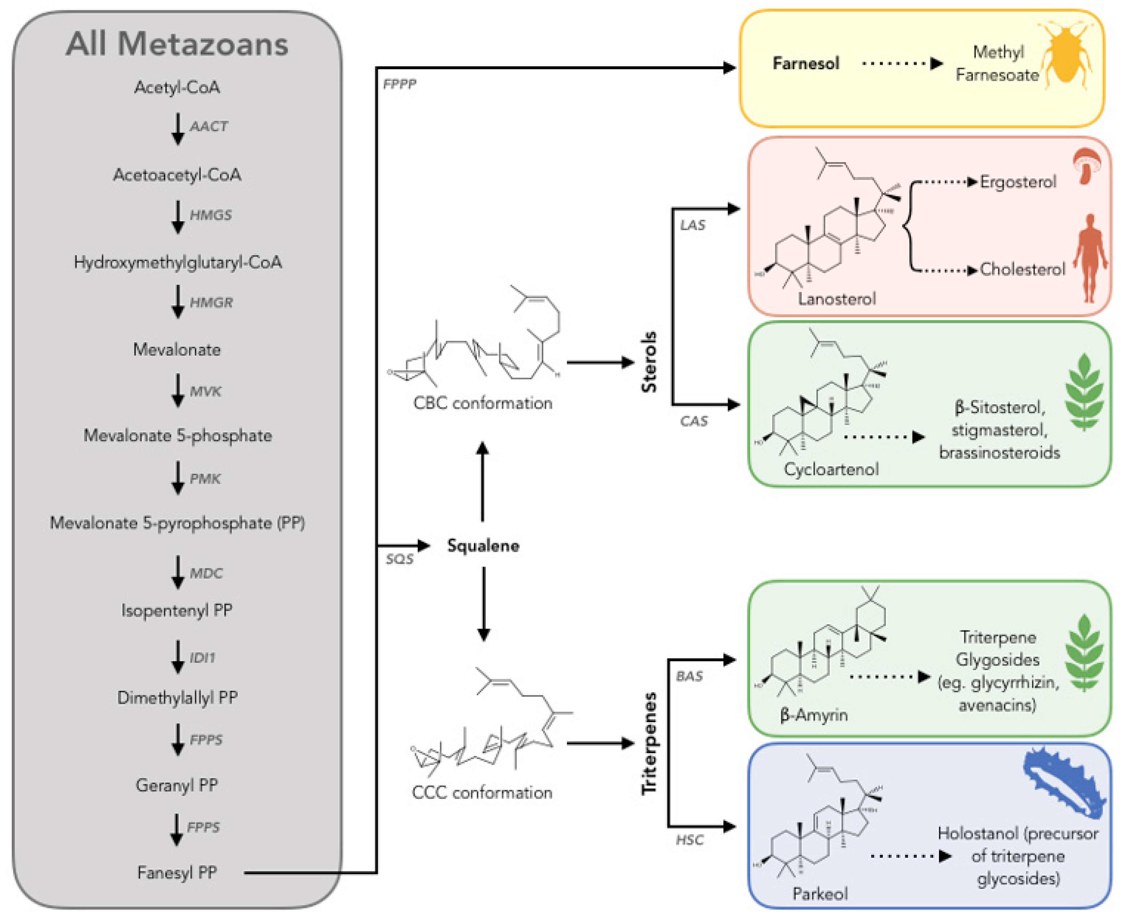 Marinedrugs 17 00352 g005