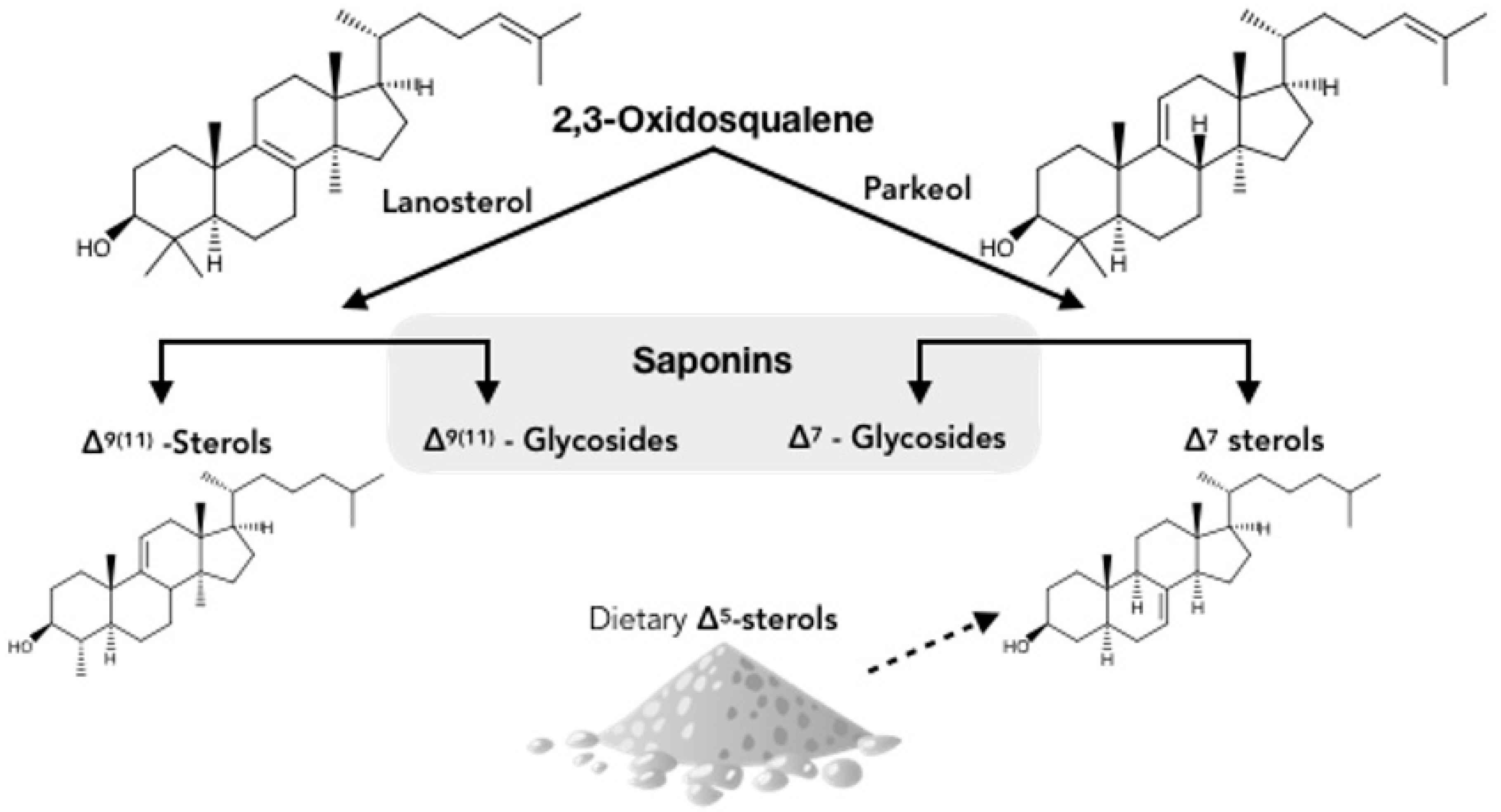 Marinedrugs 17 00352 g006