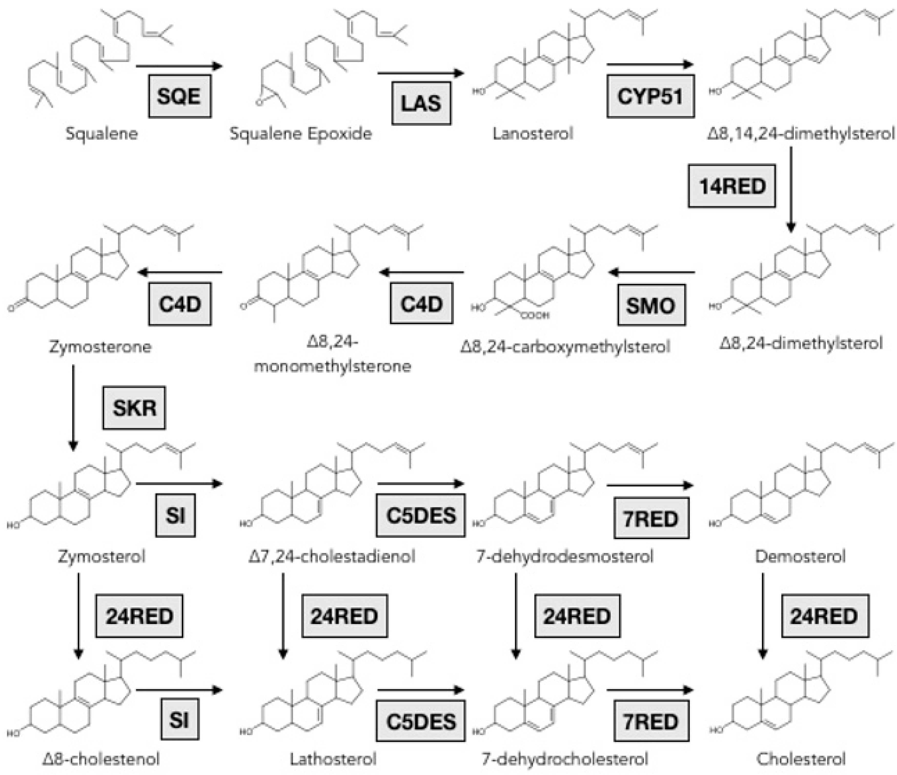Marinedrugs 17 00352 g007