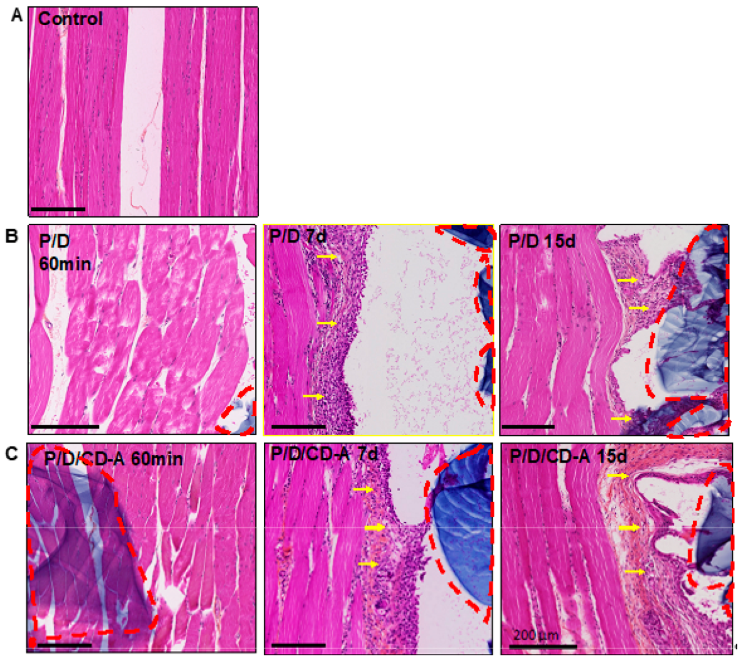 Marinedrugs 17 00354 g004 Marinedrugs 17 00354 g004