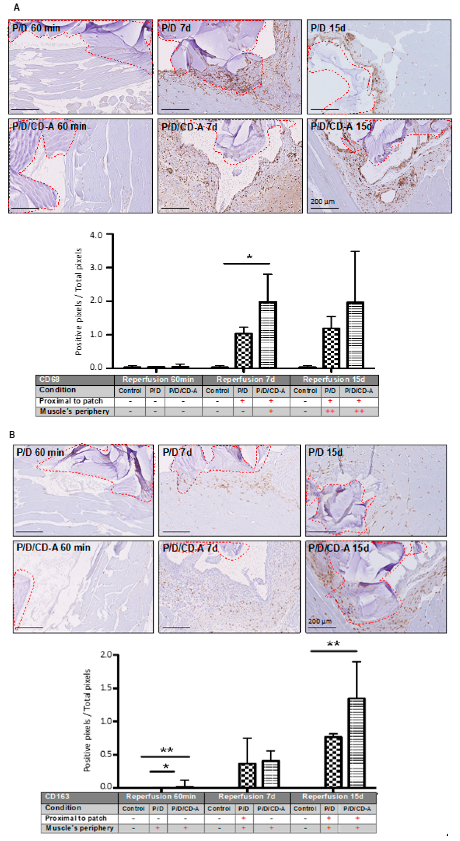 Marinedrugs 17 00354 g005 Marinedrugs 17 00354 g005