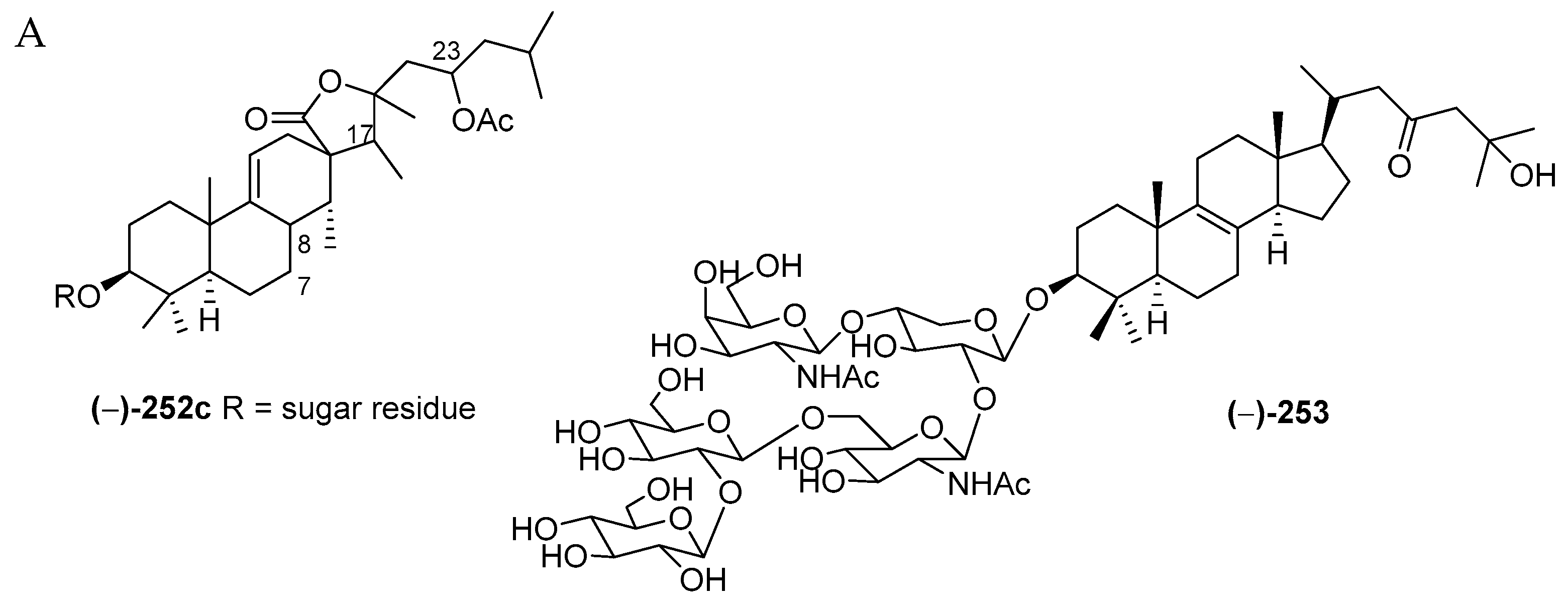Marinedrugs 17 00364 g016