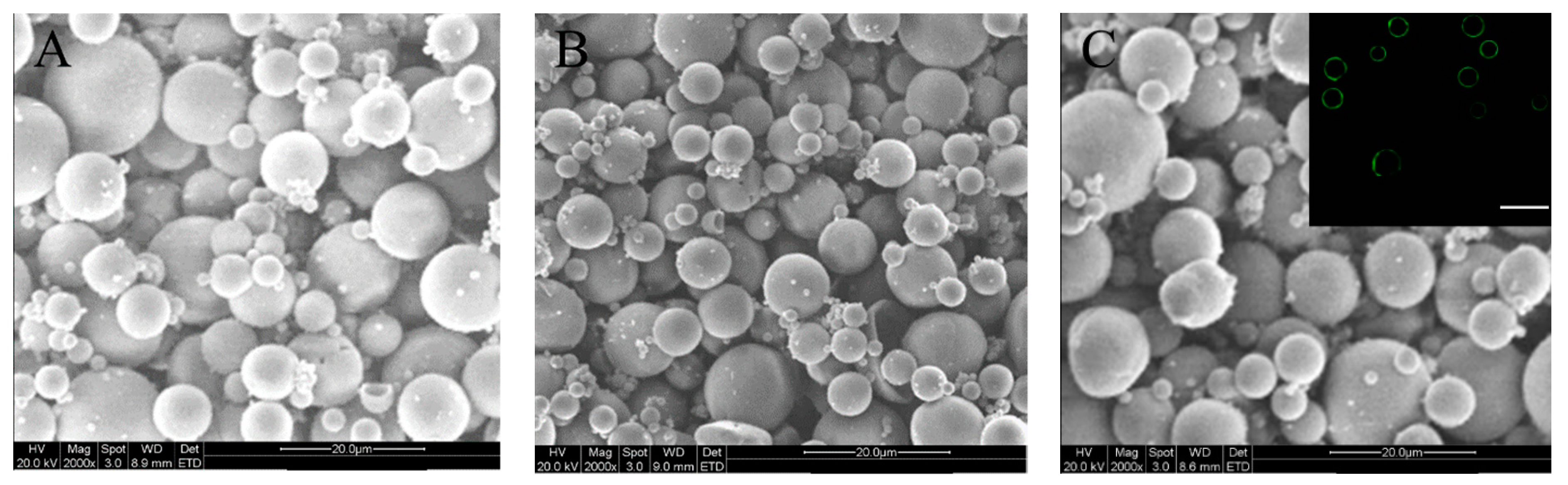 Marinedrugs 17 00365 g001 Marinedrugs 17 00365 g001