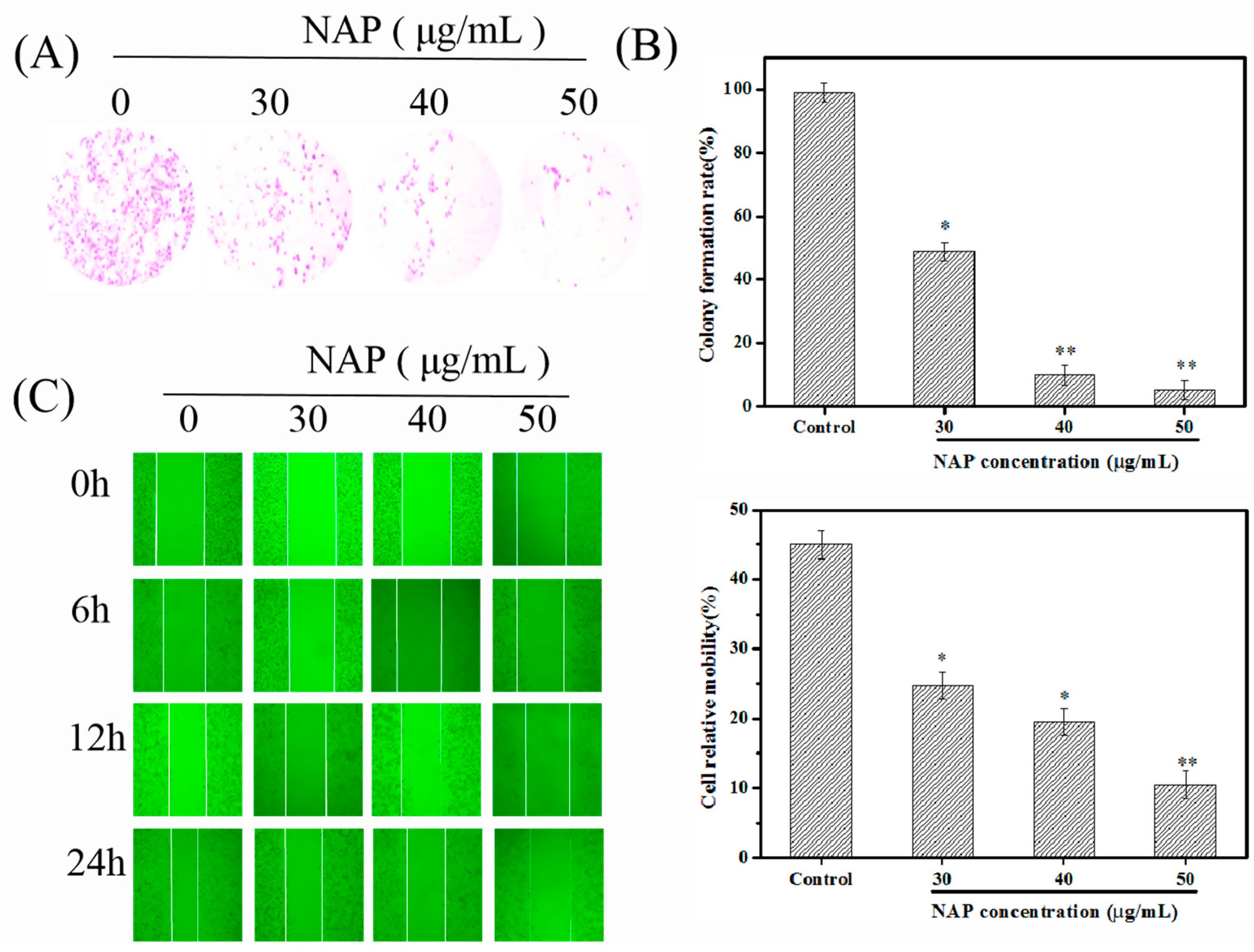 Marinedrugs 17 00366 g001