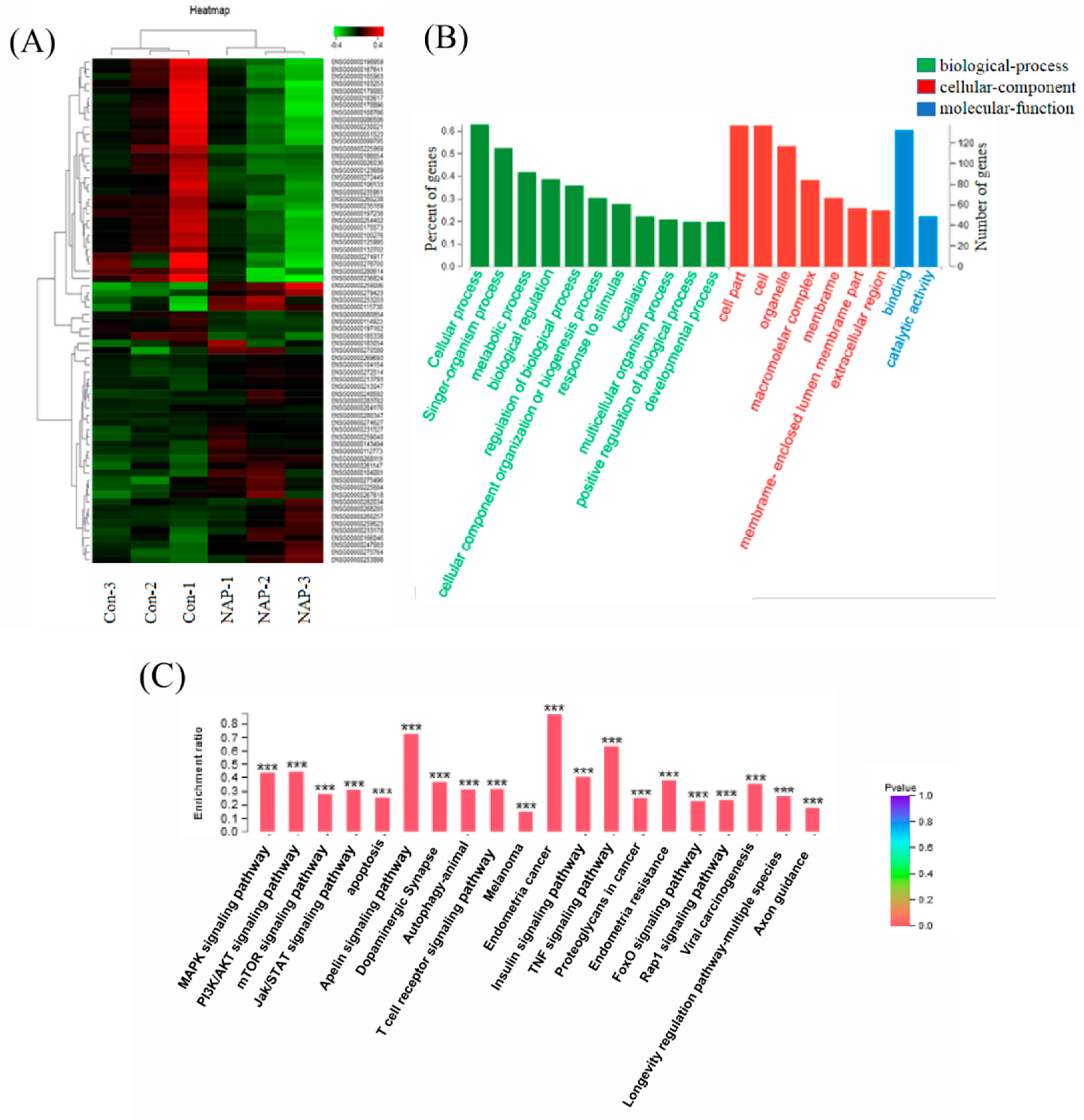 Marinedrugs 17 00366 g003