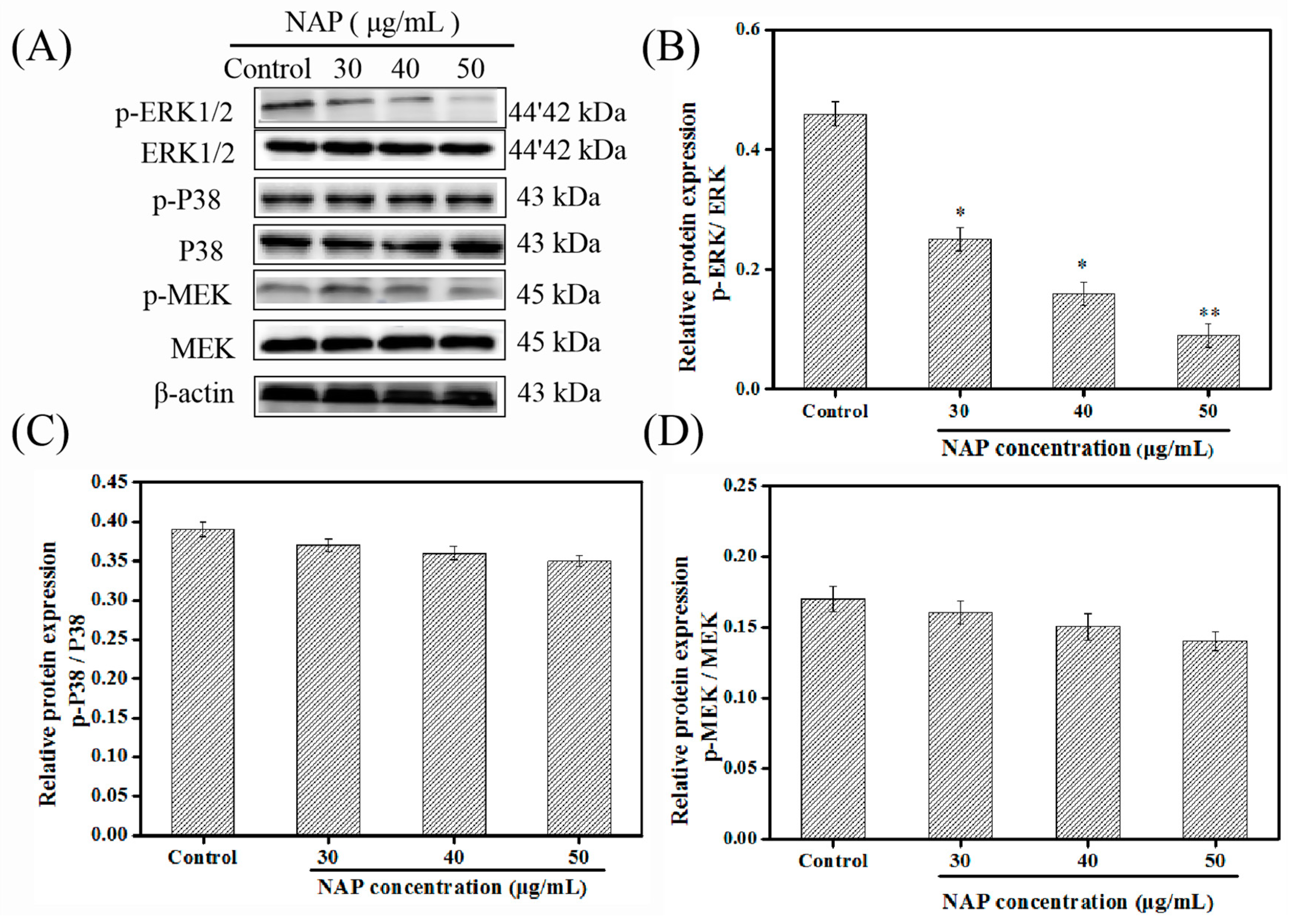 Marinedrugs 17 00366 g004