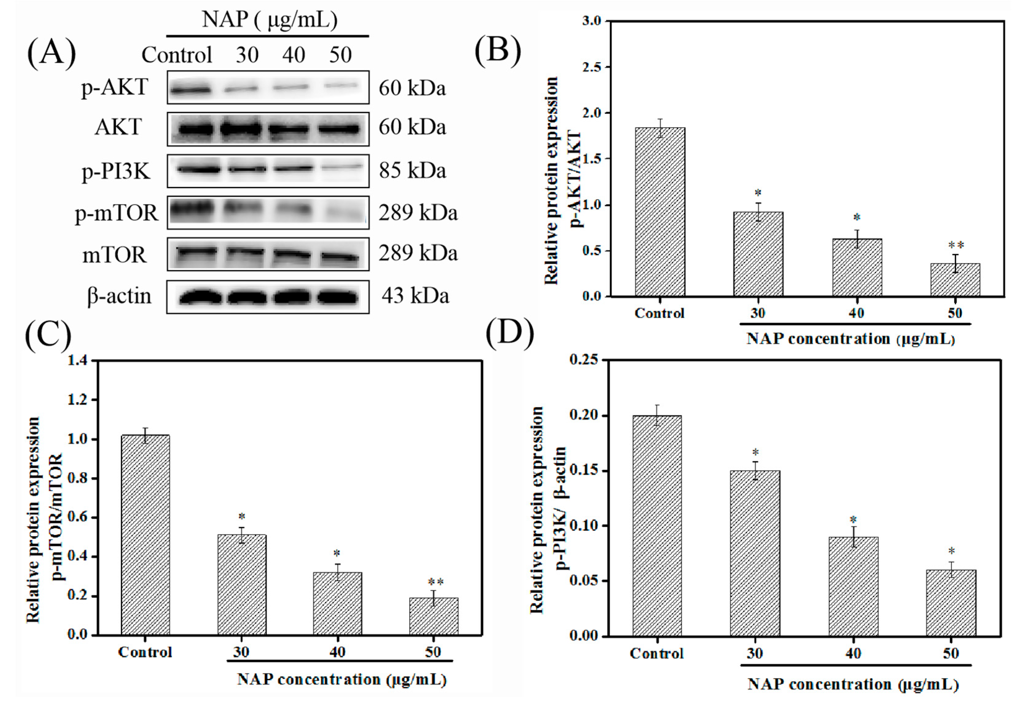 Marinedrugs 17 00366 g005