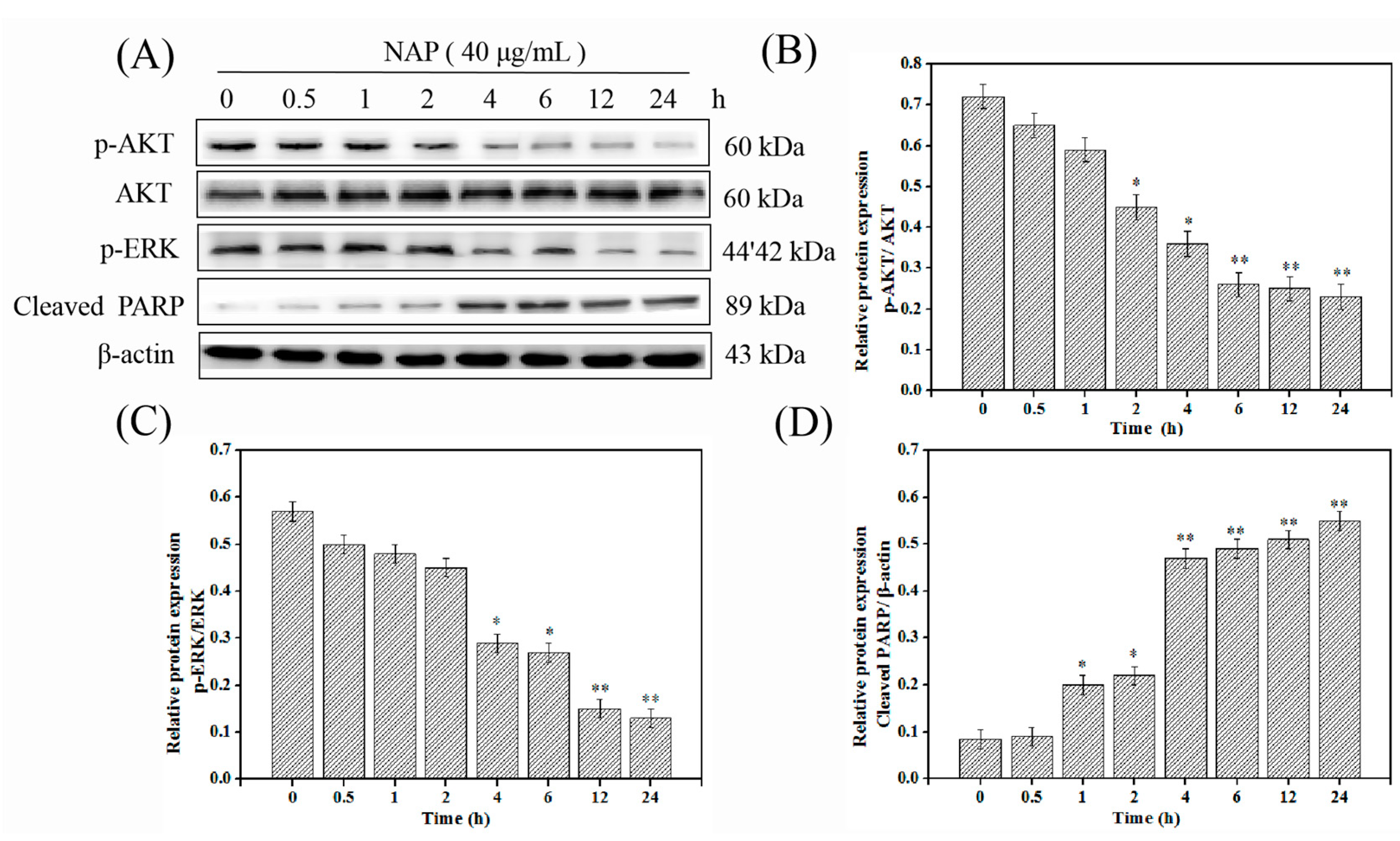 Marinedrugs 17 00366 g006