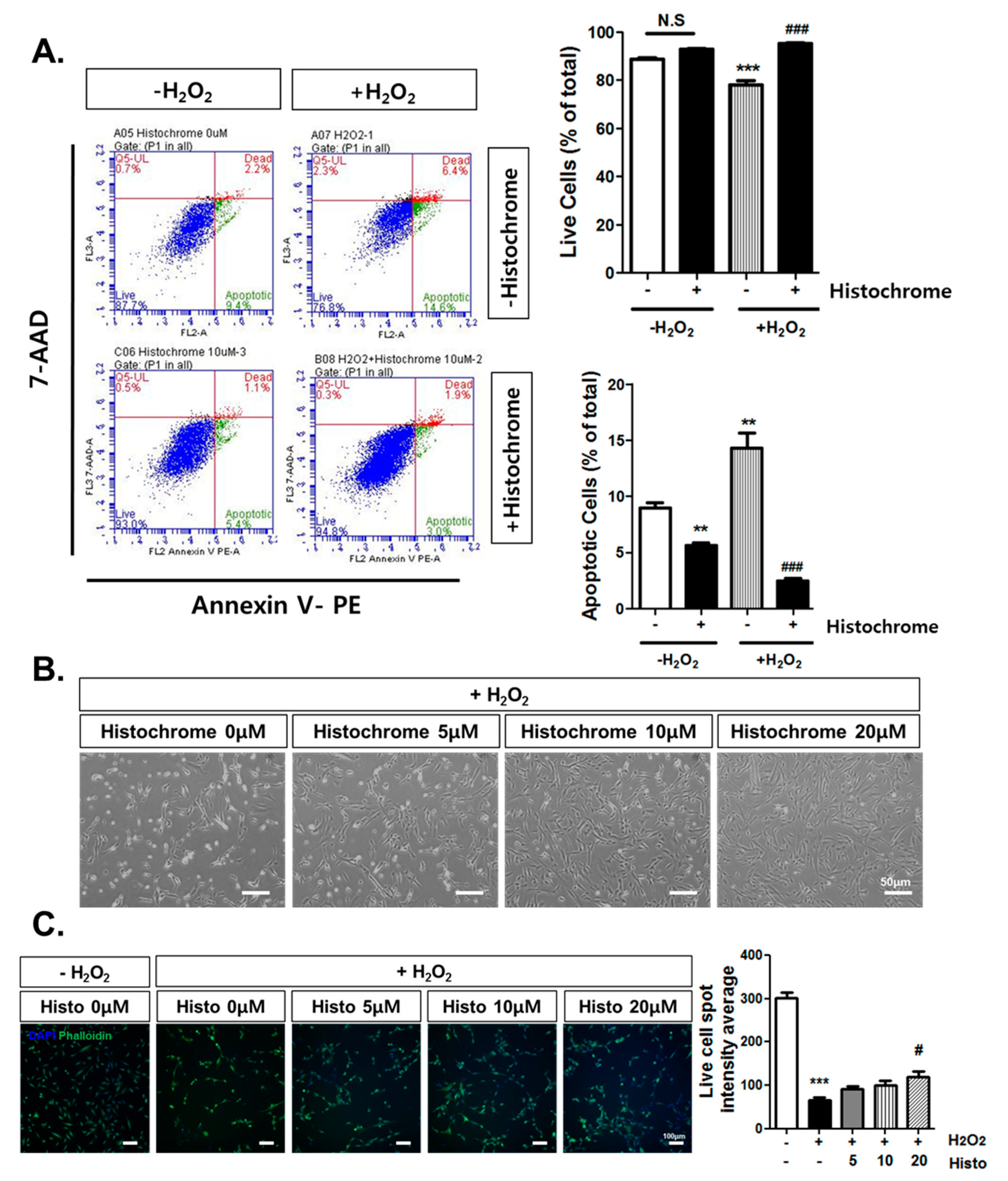 Marinedrugs 17 00368 g003
