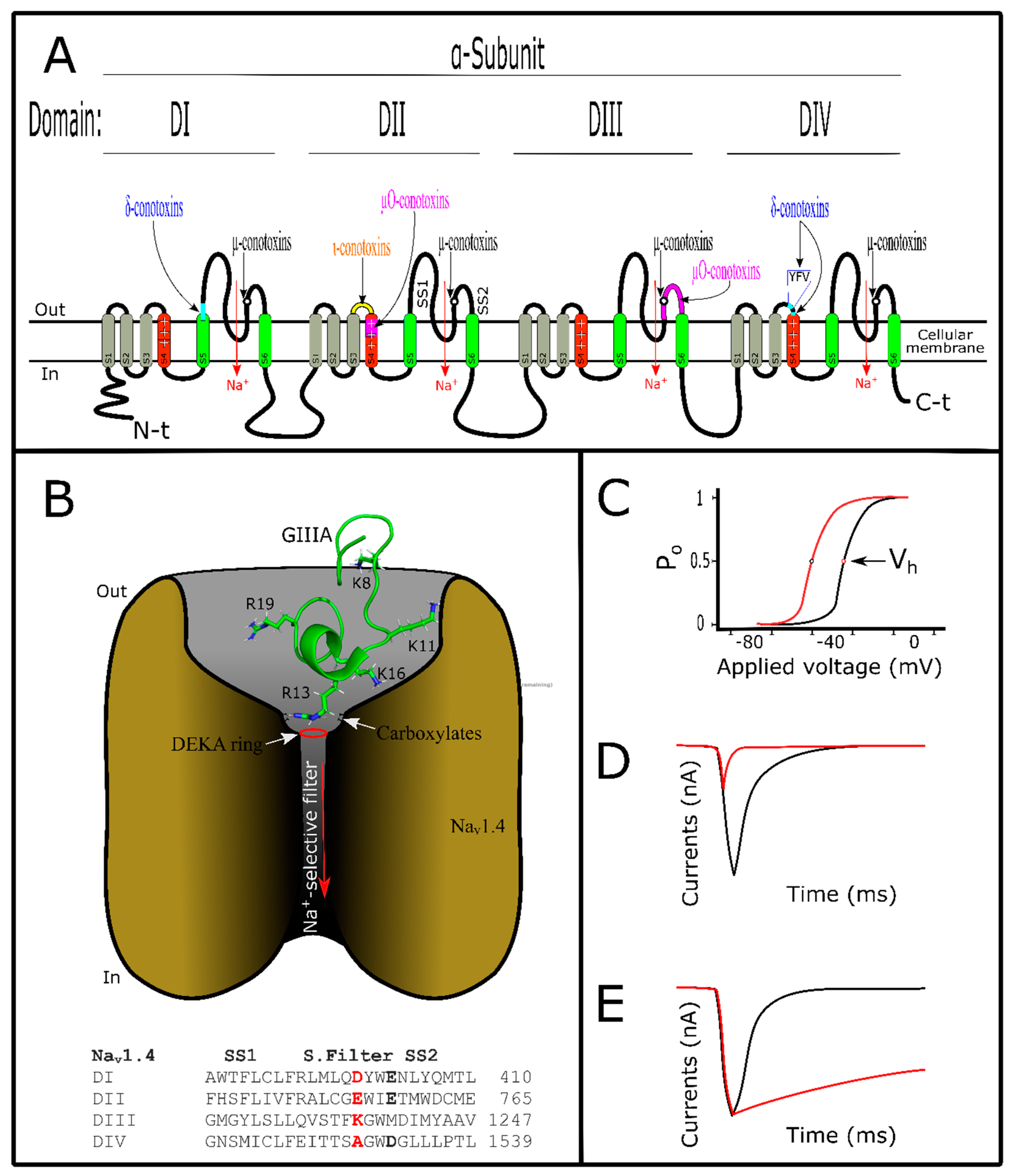 Marinedrugs 17 00370 g003 Marinedrugs 17 00370 g003