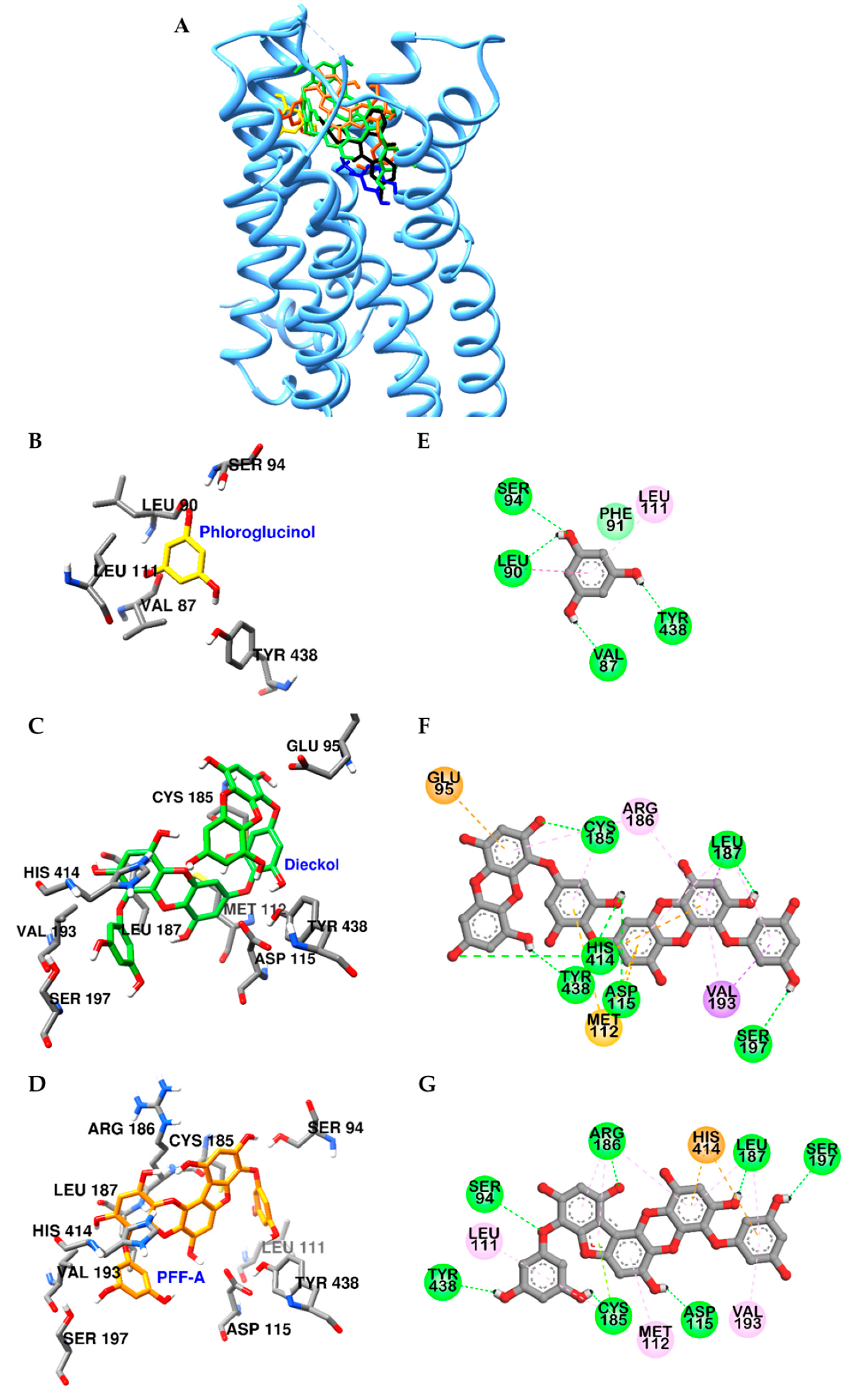 Marinedrugs 17 00377 g007