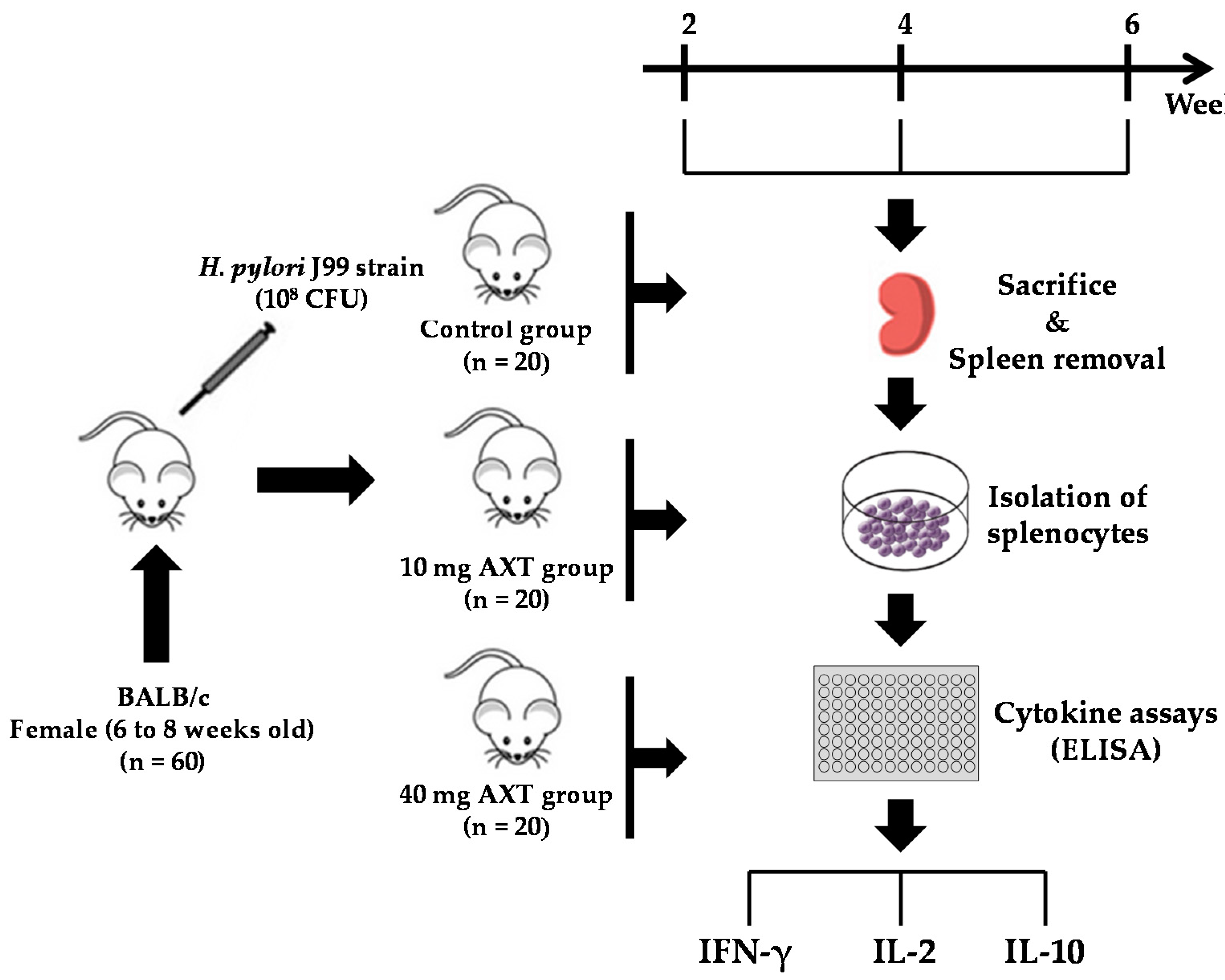 Marinedrugs 17 00382 g002 Marinedrugs 17 00382 g002