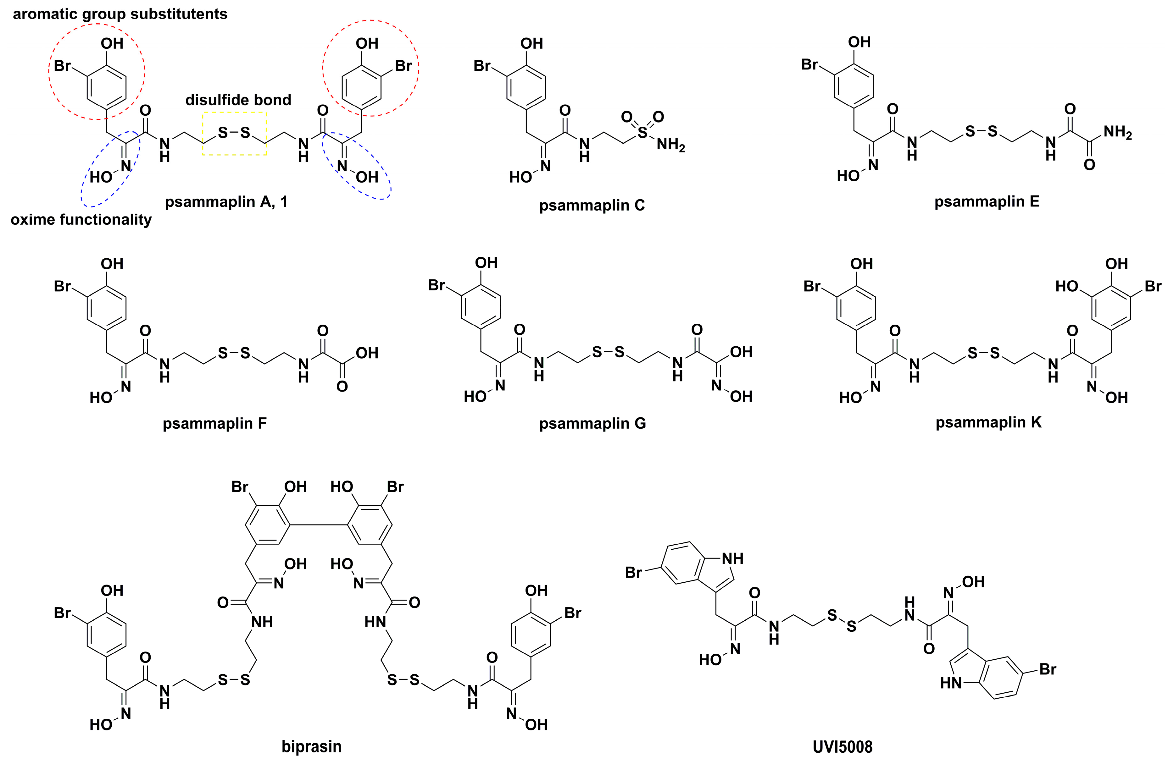 Marinedrugs 17 00384 g001 Marinedrugs 17 00384 g001
