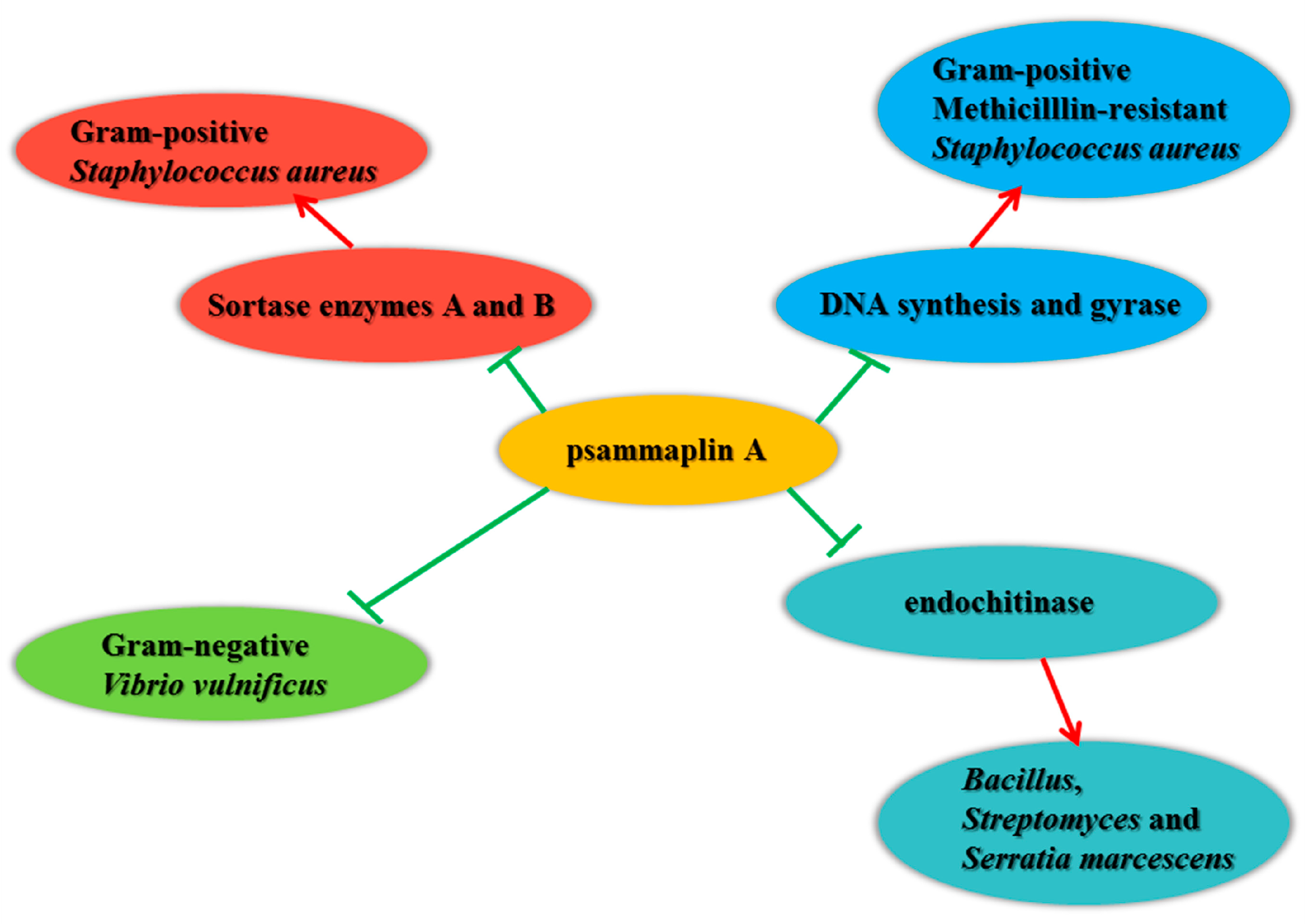 Marinedrugs 17 00384 g002 Marinedrugs 17 00384 g002