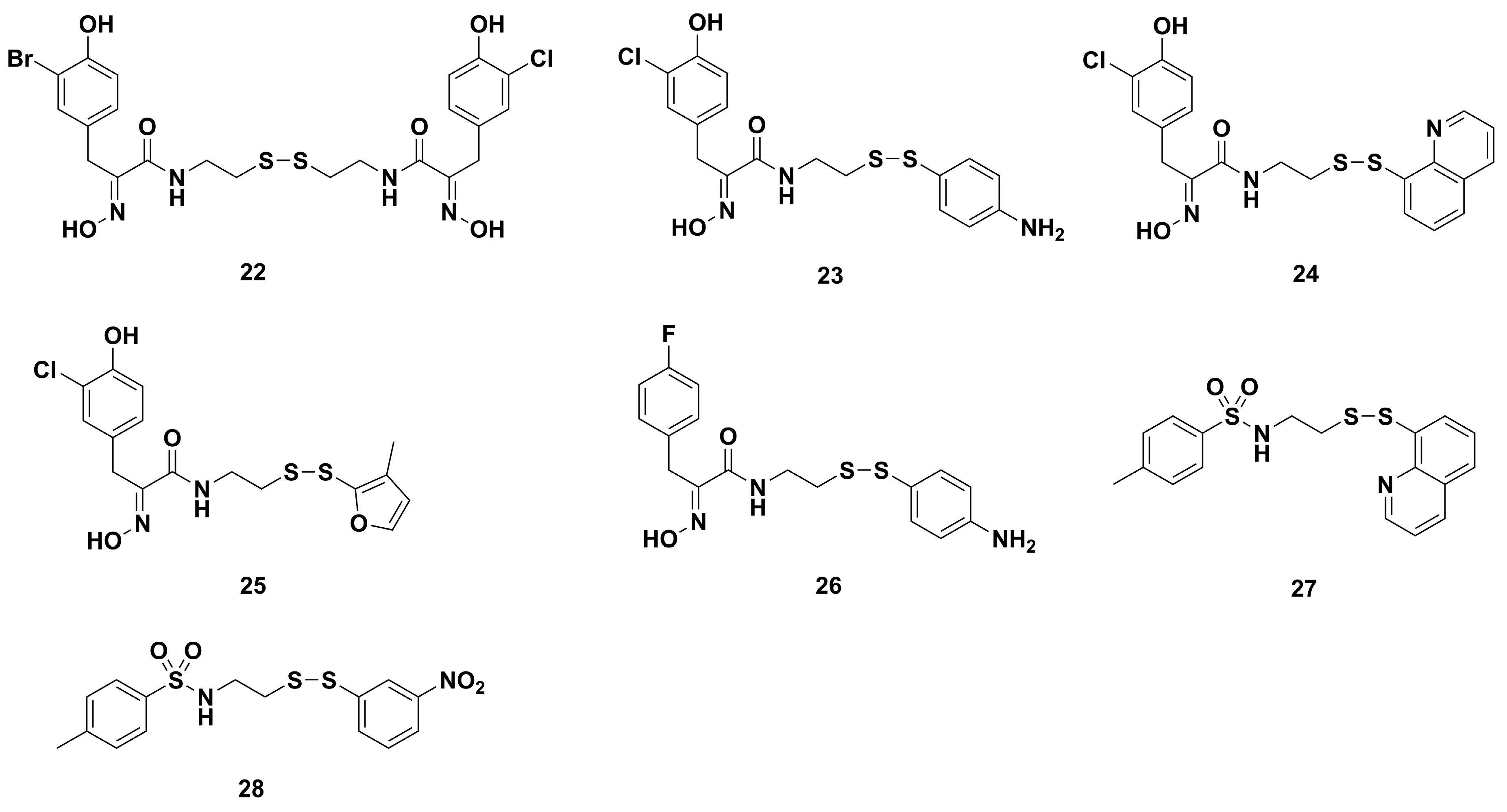 Marinedrugs 17 00384 g005 Marinedrugs 17 00384 g005