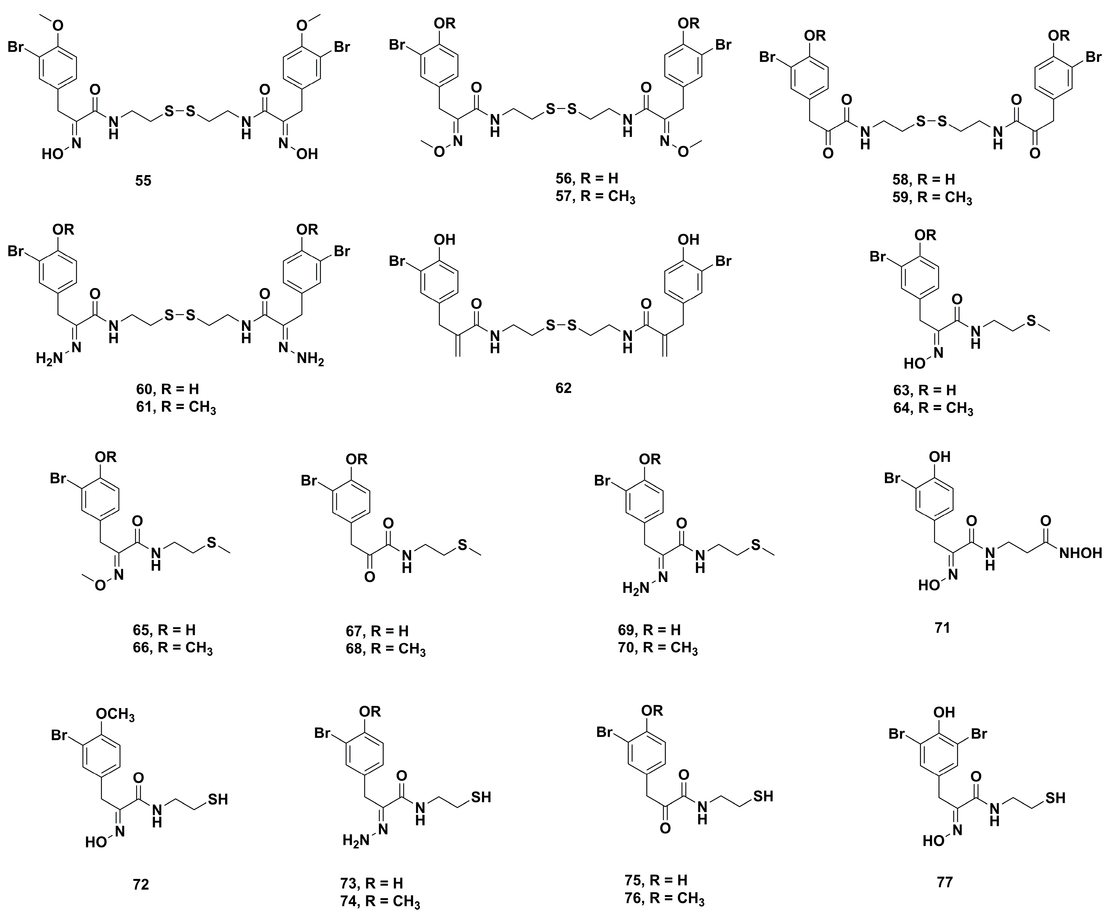 Marinedrugs 17 00384 g007 Marinedrugs 17 00384 g007