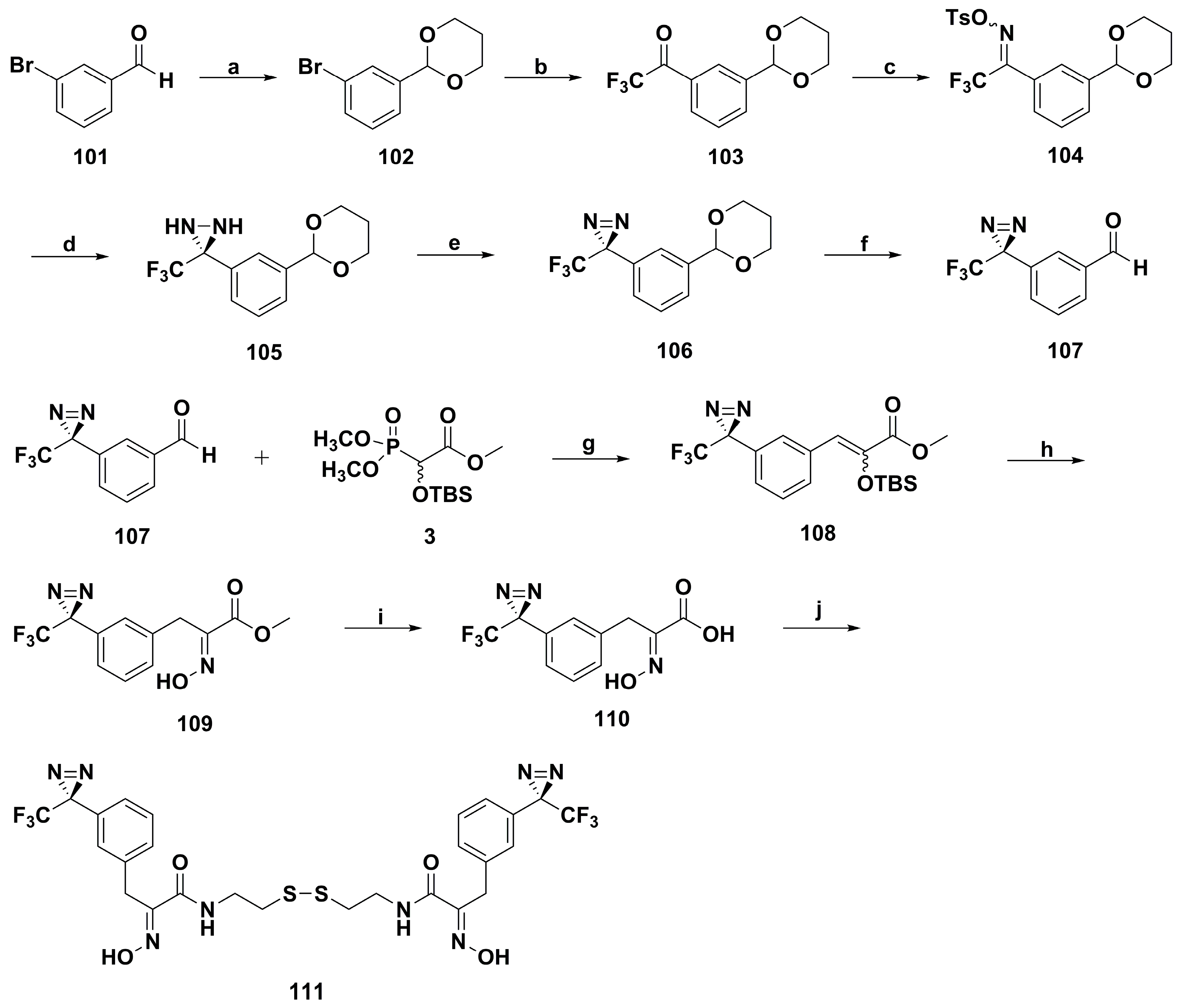 Marinedrugs 17 00384 sch007 Marinedrugs 17 00384 sch007