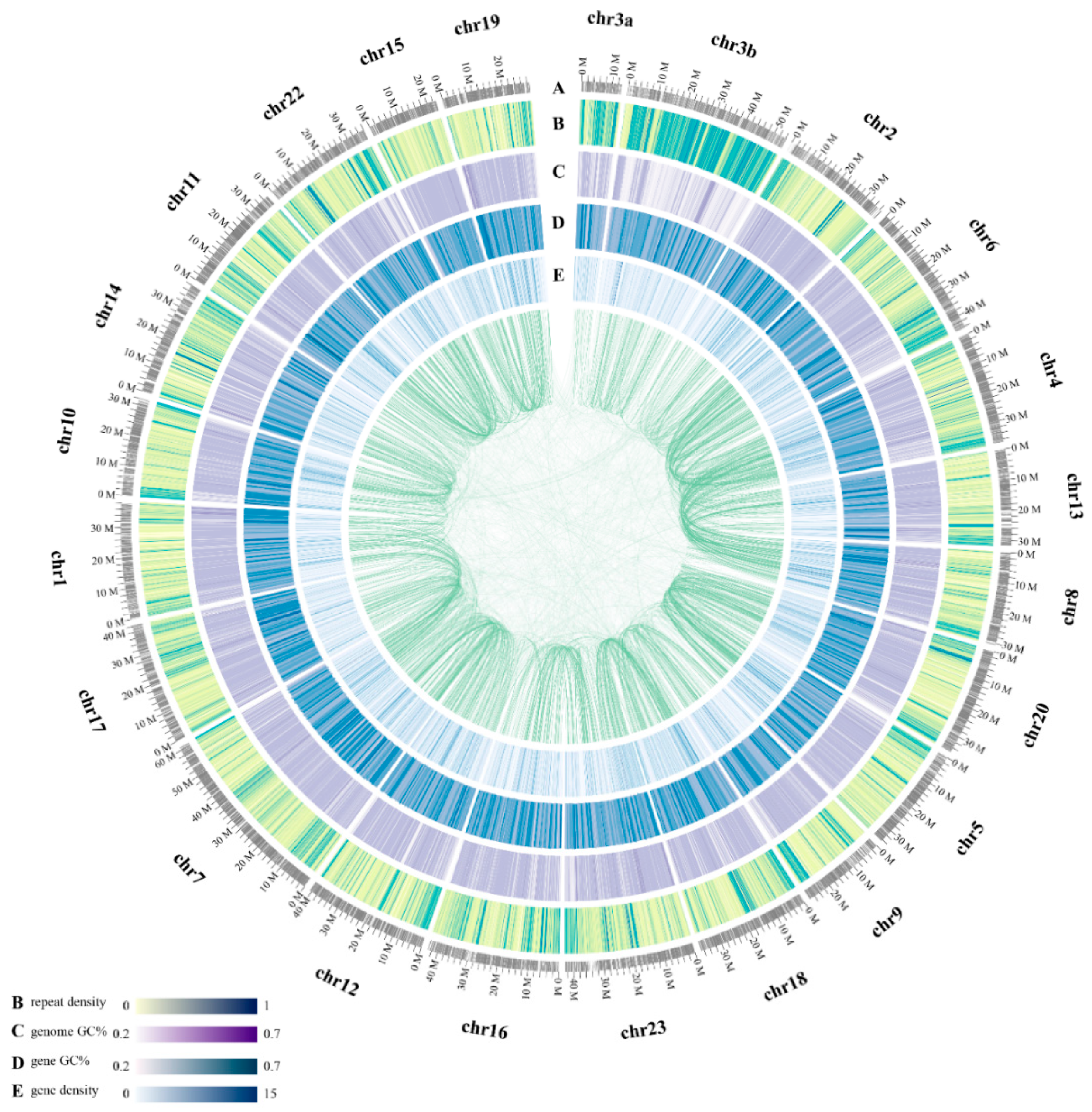 Marinedrugs 17 00386 g002