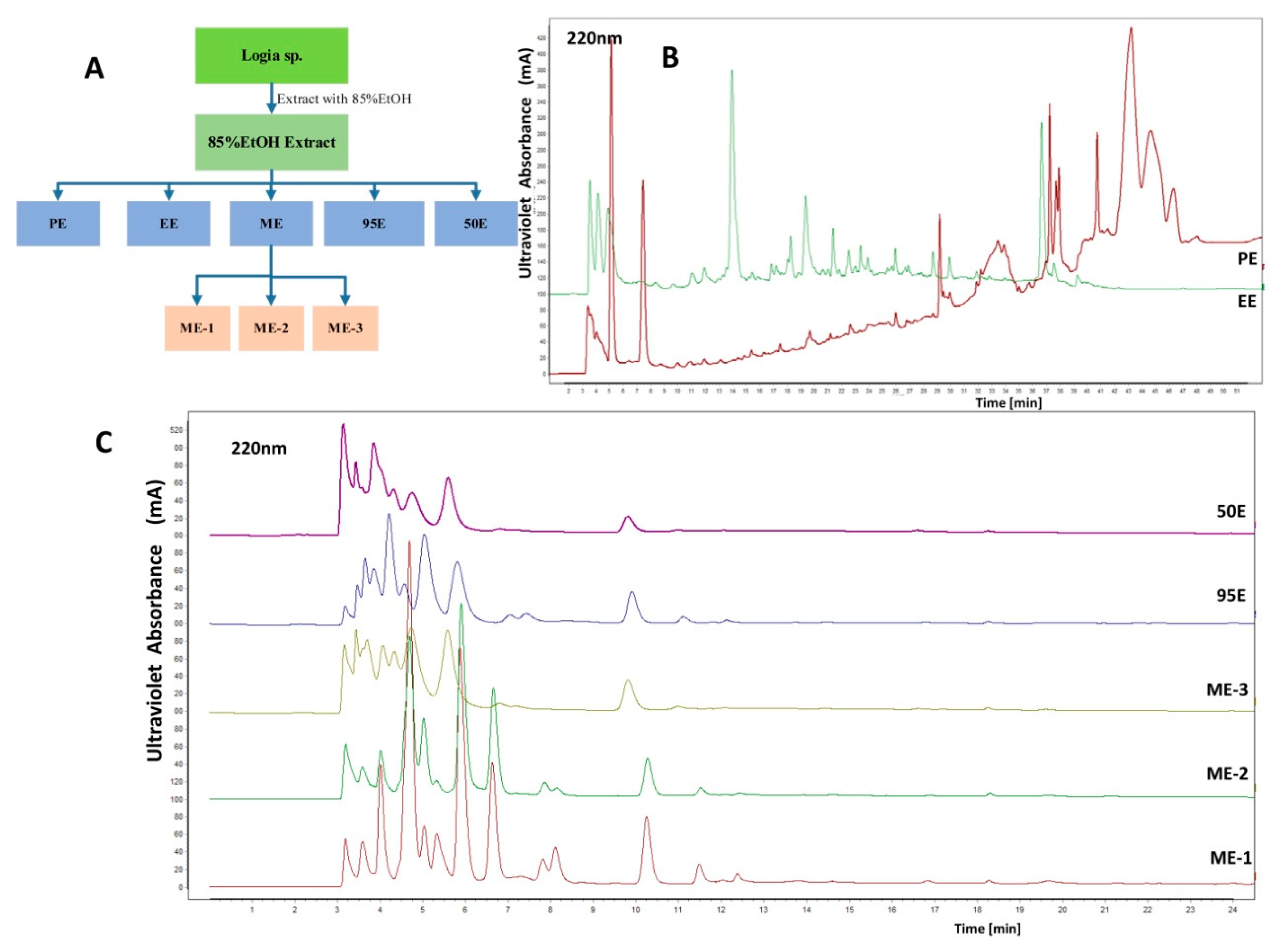 Marinedrugs 17 00395 g001 Marinedrugs 17 00395 g001