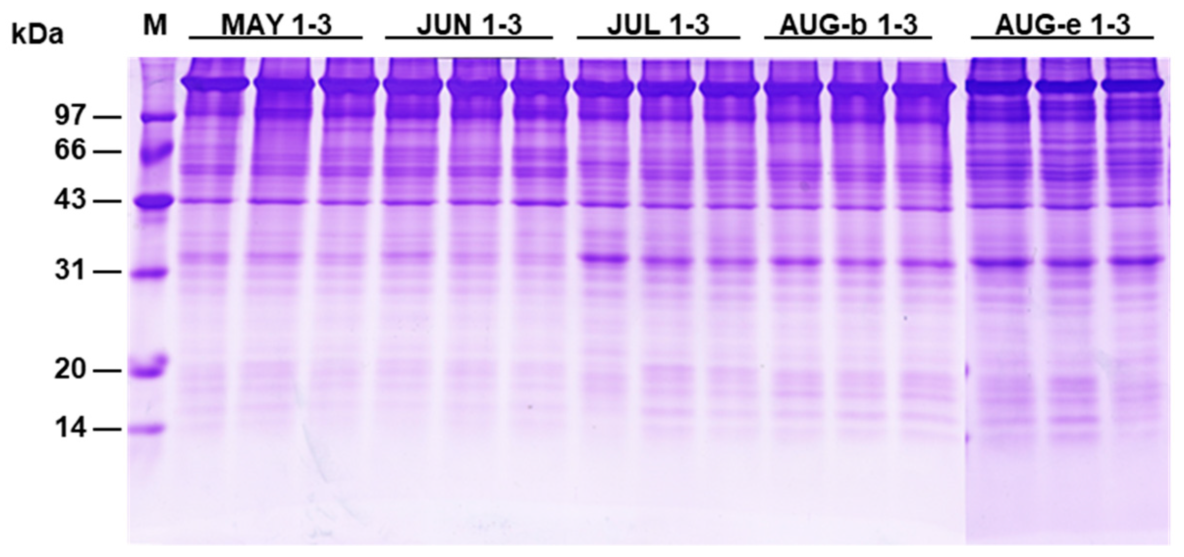 Marinedrugs 17 00397 g001 Marinedrugs 17 00397 g001