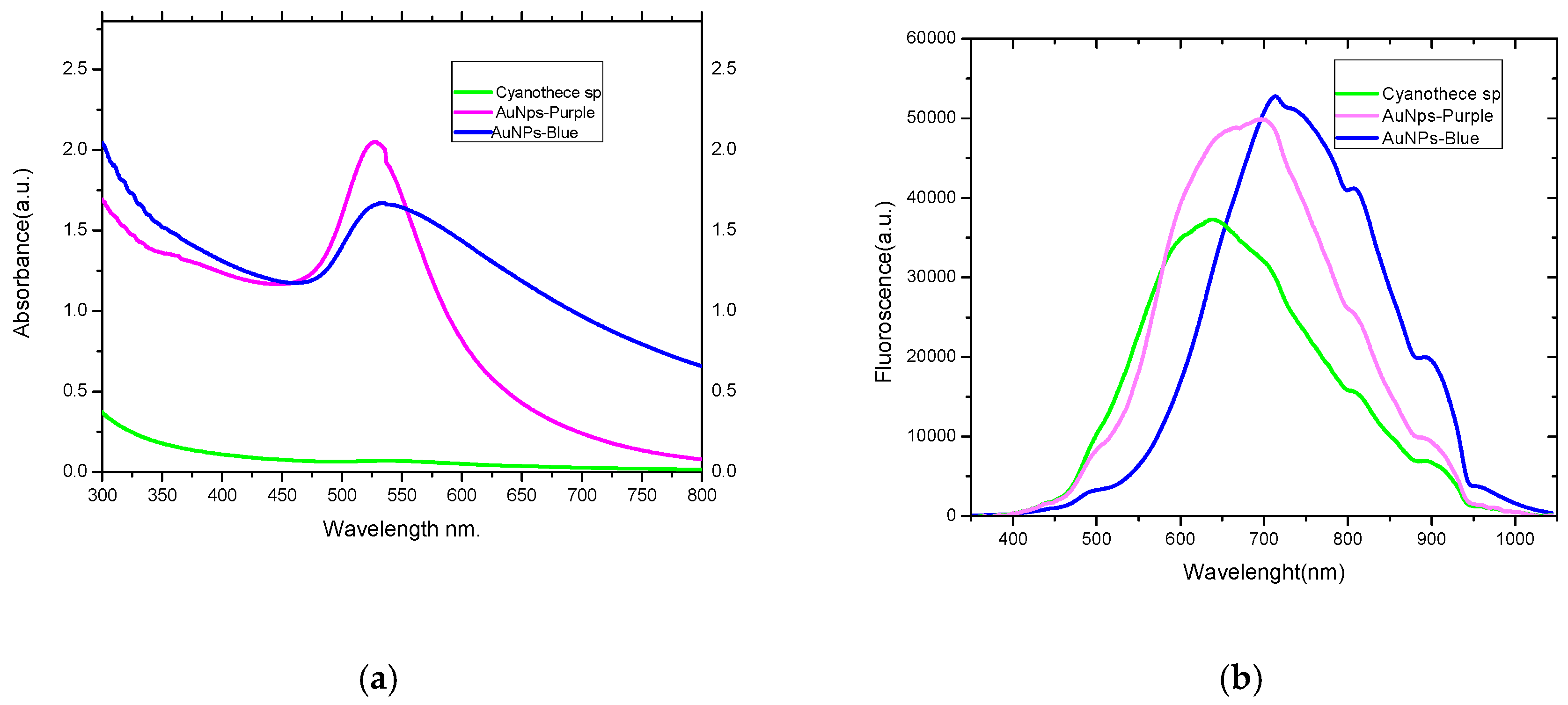 Marinedrugs 17 00402 g001 Marinedrugs 17 00402 g001