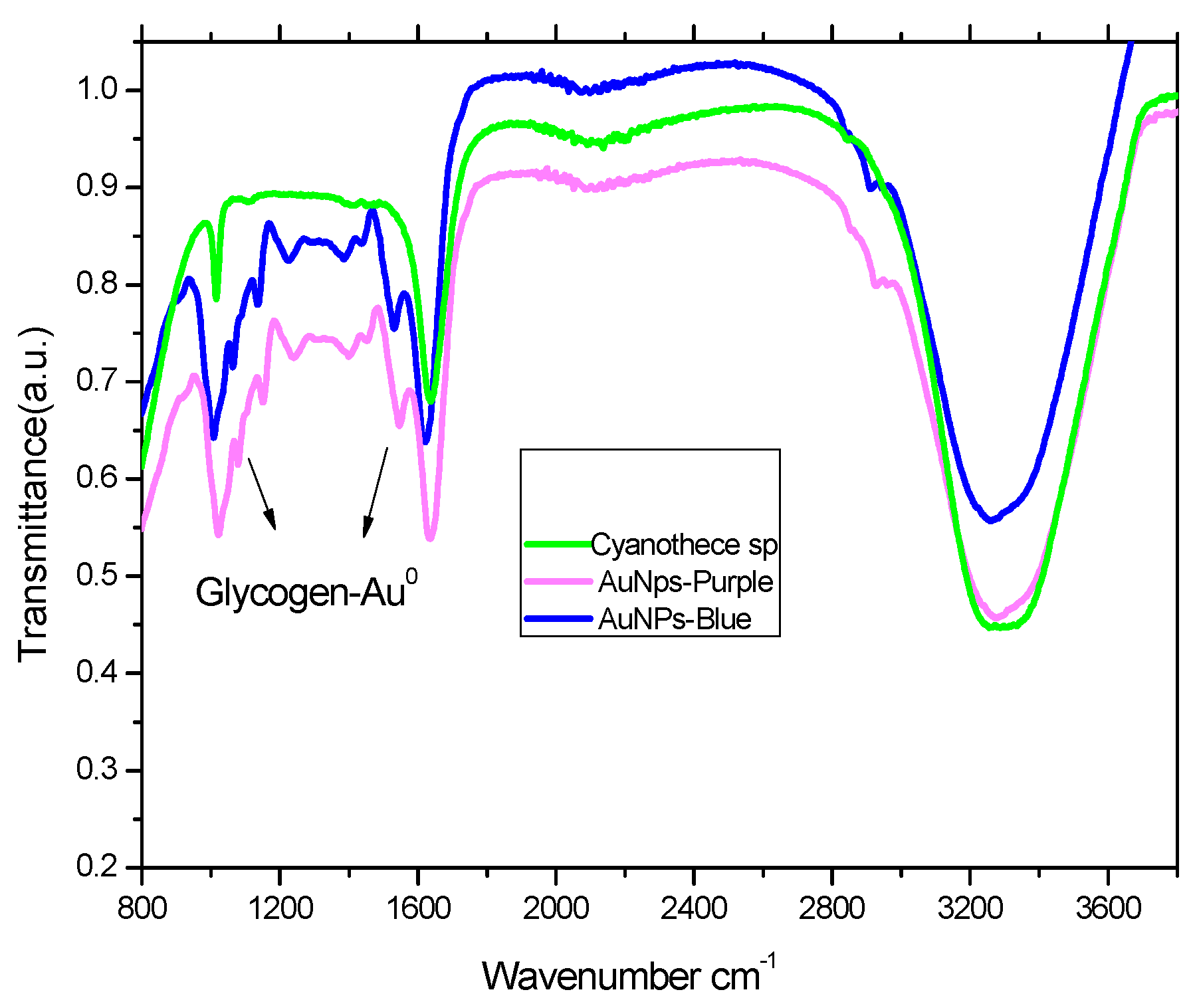 Marinedrugs 17 00402 g002 Marinedrugs 17 00402 g002