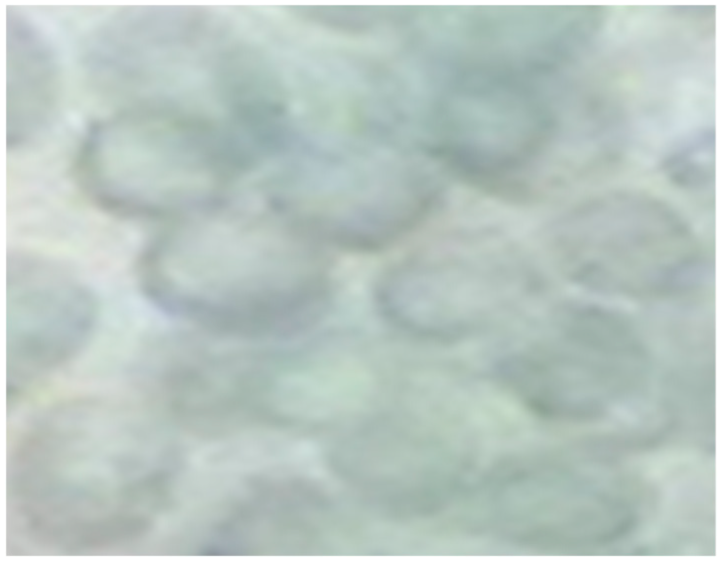 Marinedrugs 17 00402 g008 Marinedrugs 17 00402 g008