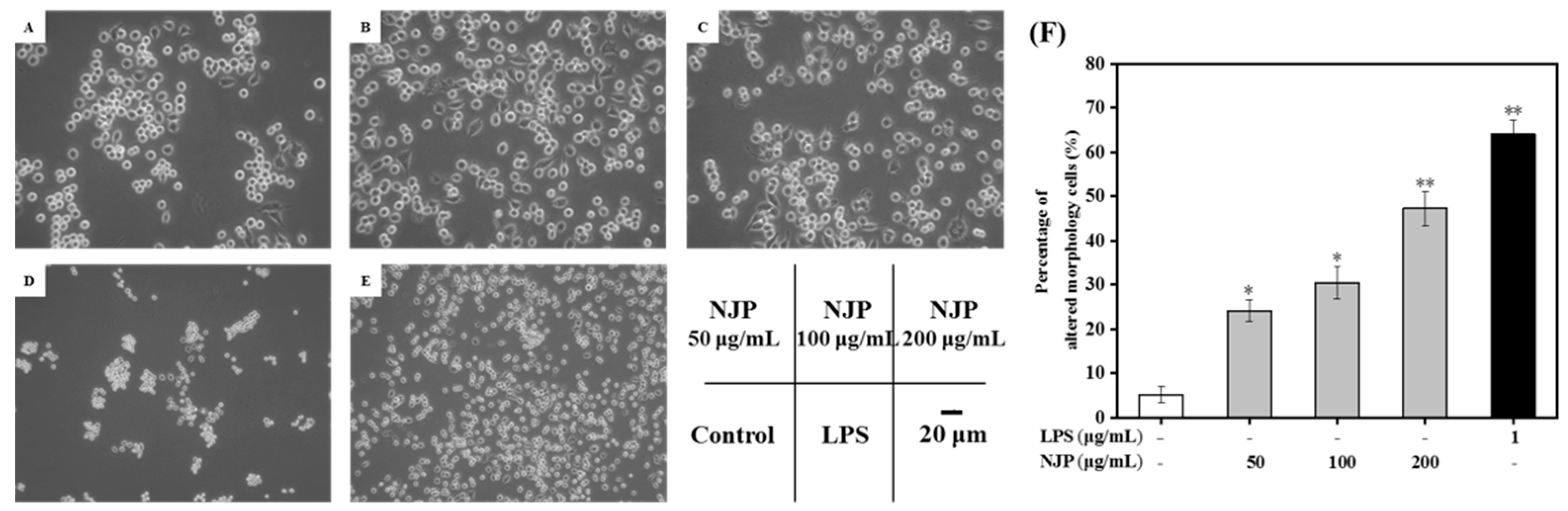 Marinedrugs 17 00404 g004 Marinedrugs 17 00404 g004