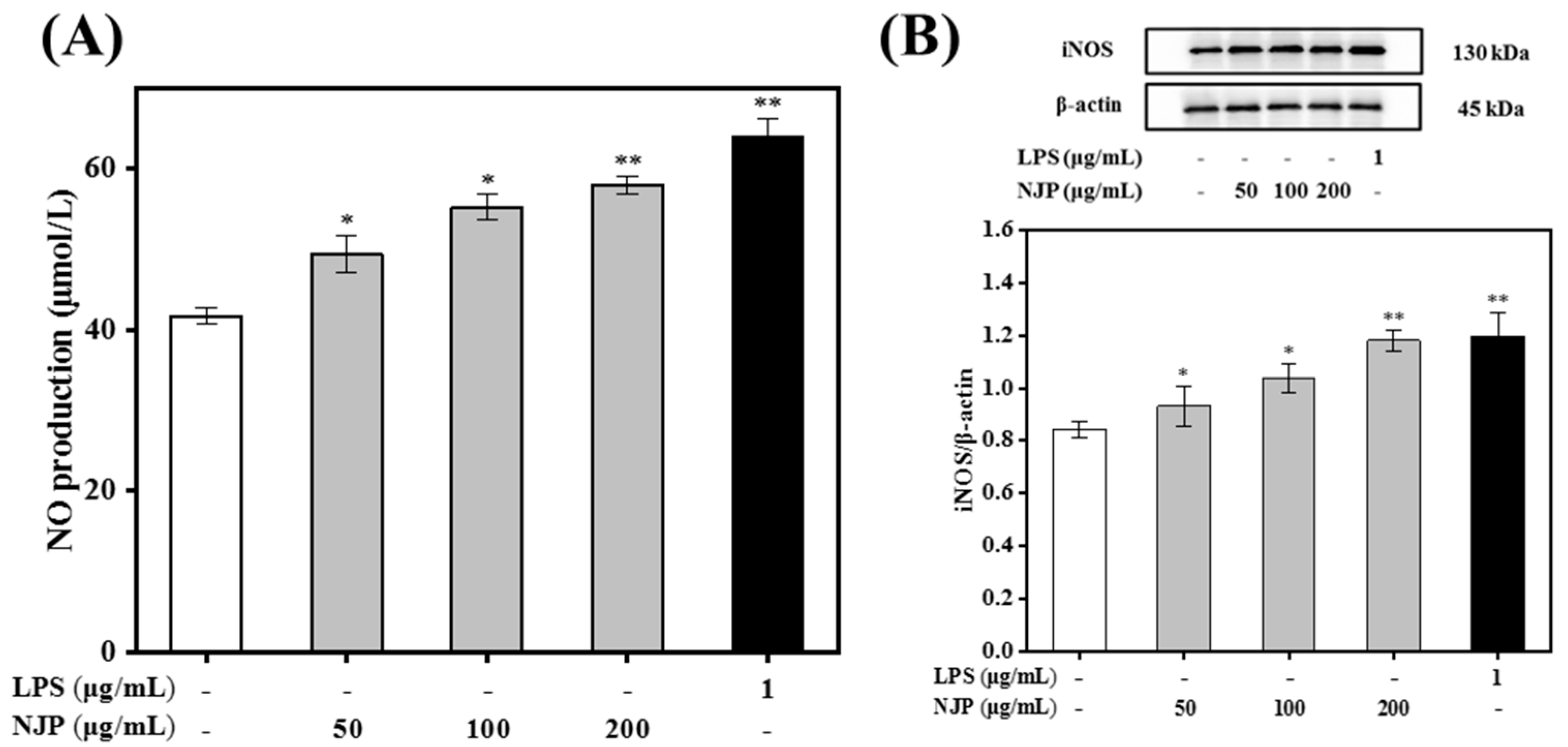 Marinedrugs 17 00404 g006 Marinedrugs 17 00404 g006