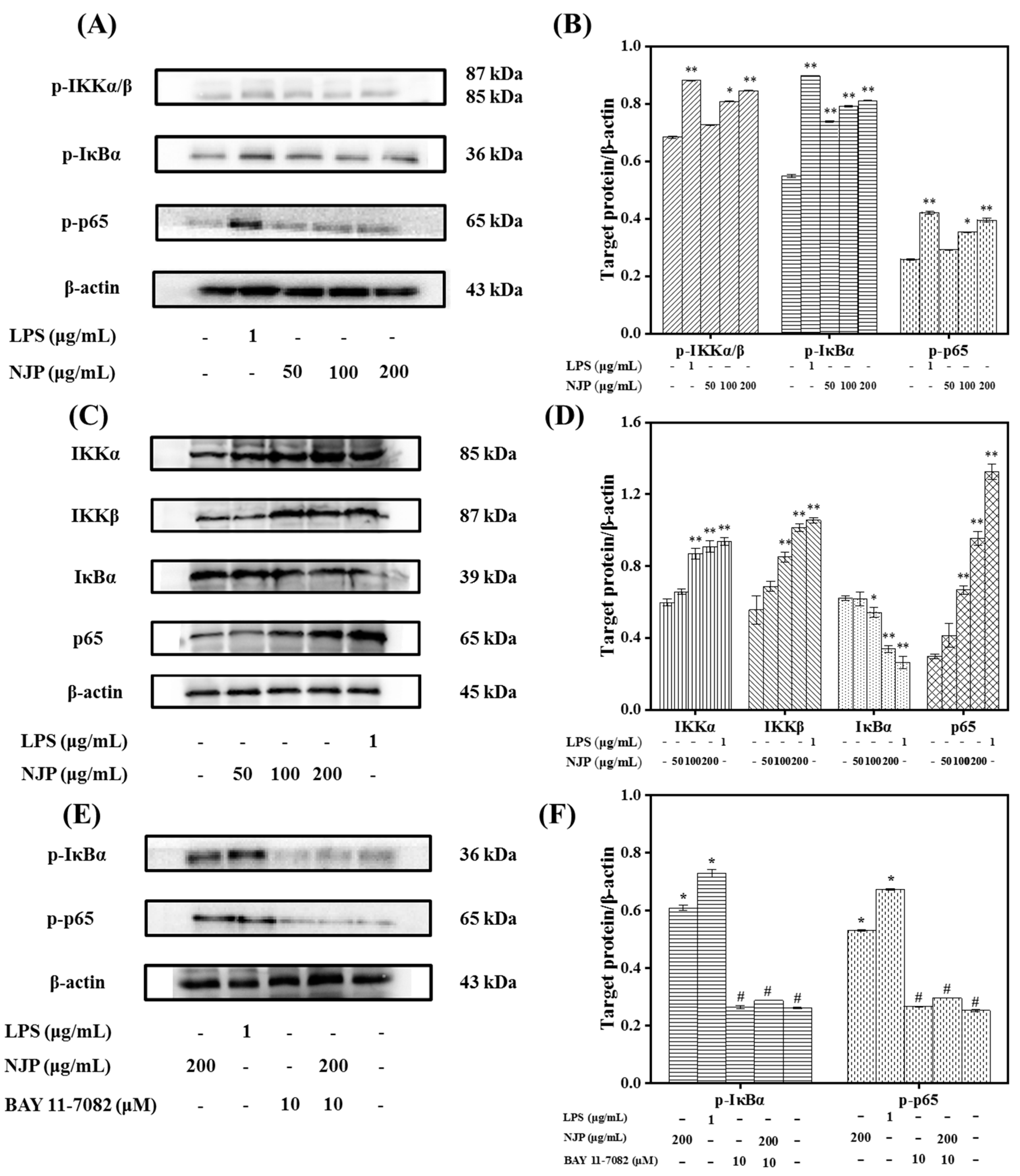 Marinedrugs 17 00404 g009 Marinedrugs 17 00404 g009