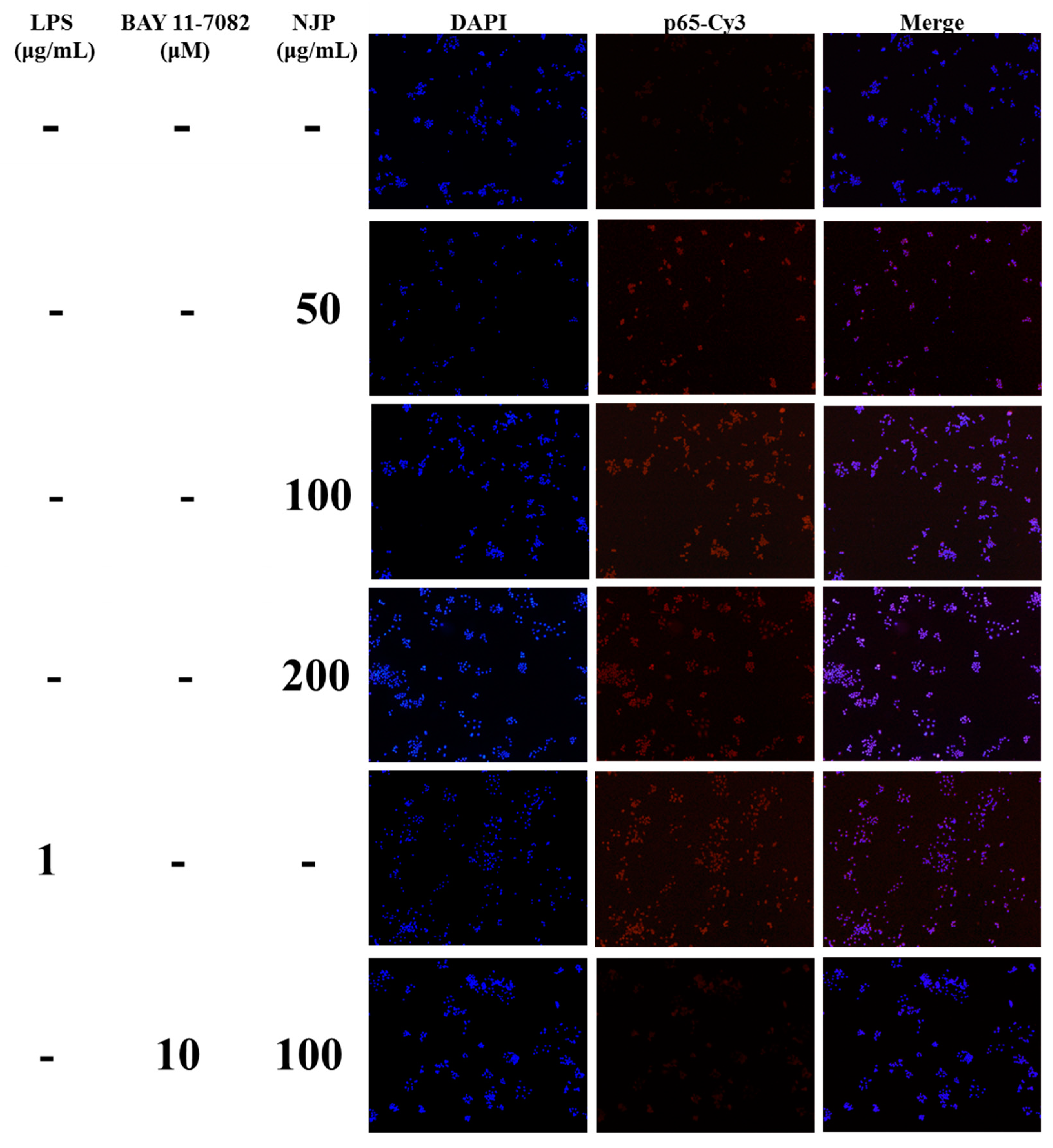Marinedrugs 17 00404 g010 Marinedrugs 17 00404 g010