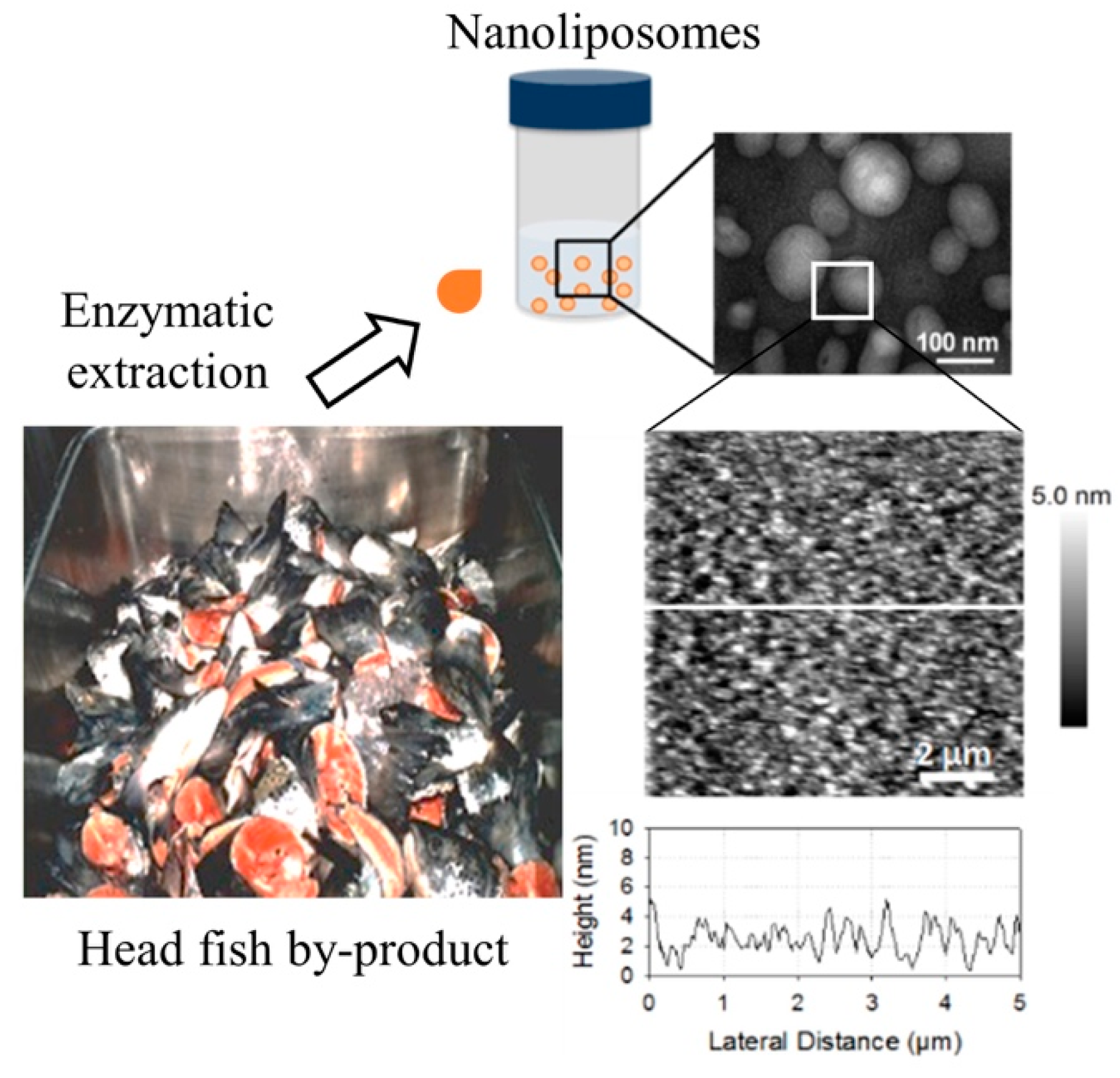 Marinedrugs 17 00406 g001 Marinedrugs 17 00406 g001