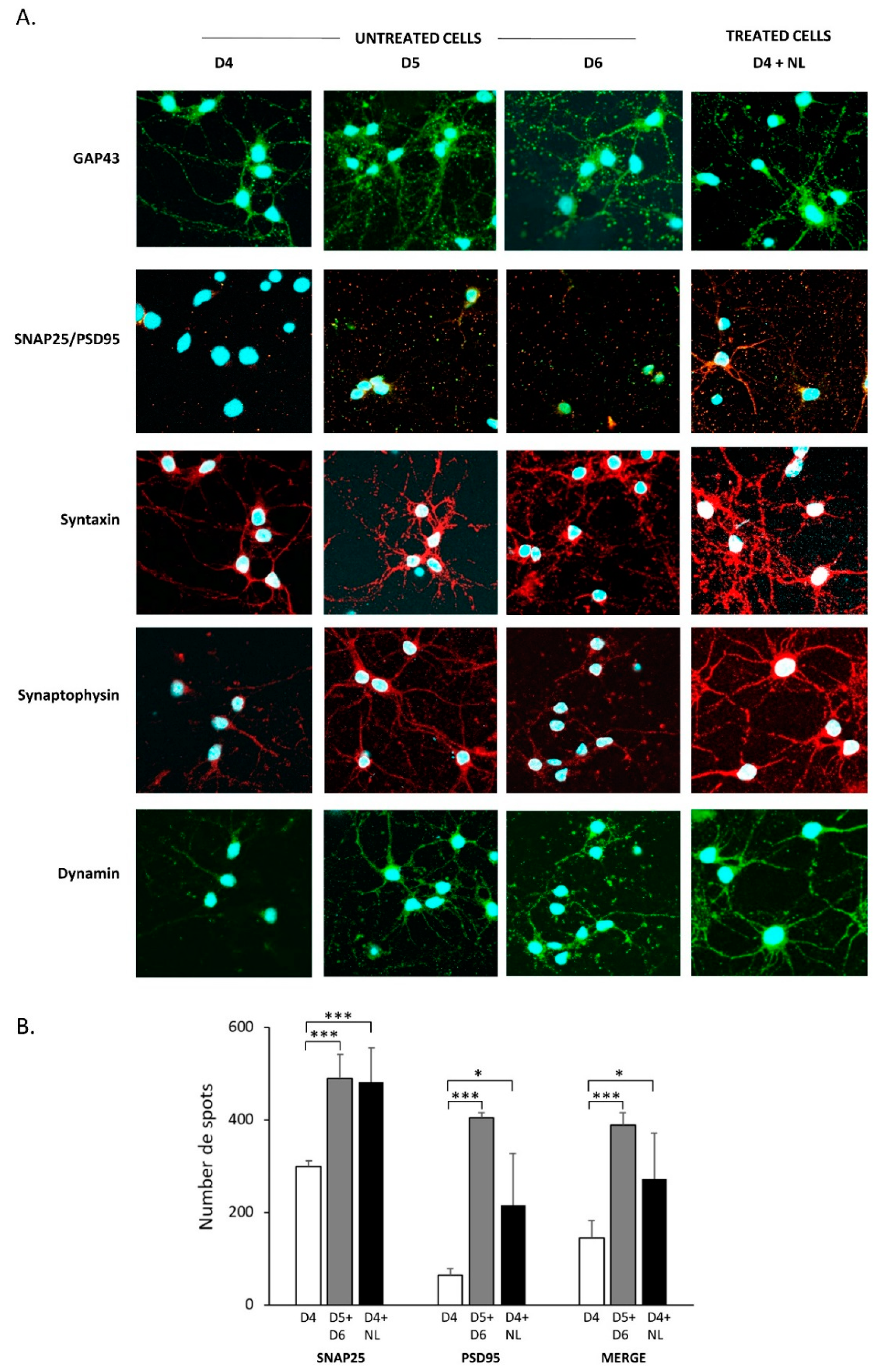Marinedrugs 17 00406 g004 Marinedrugs 17 00406 g004