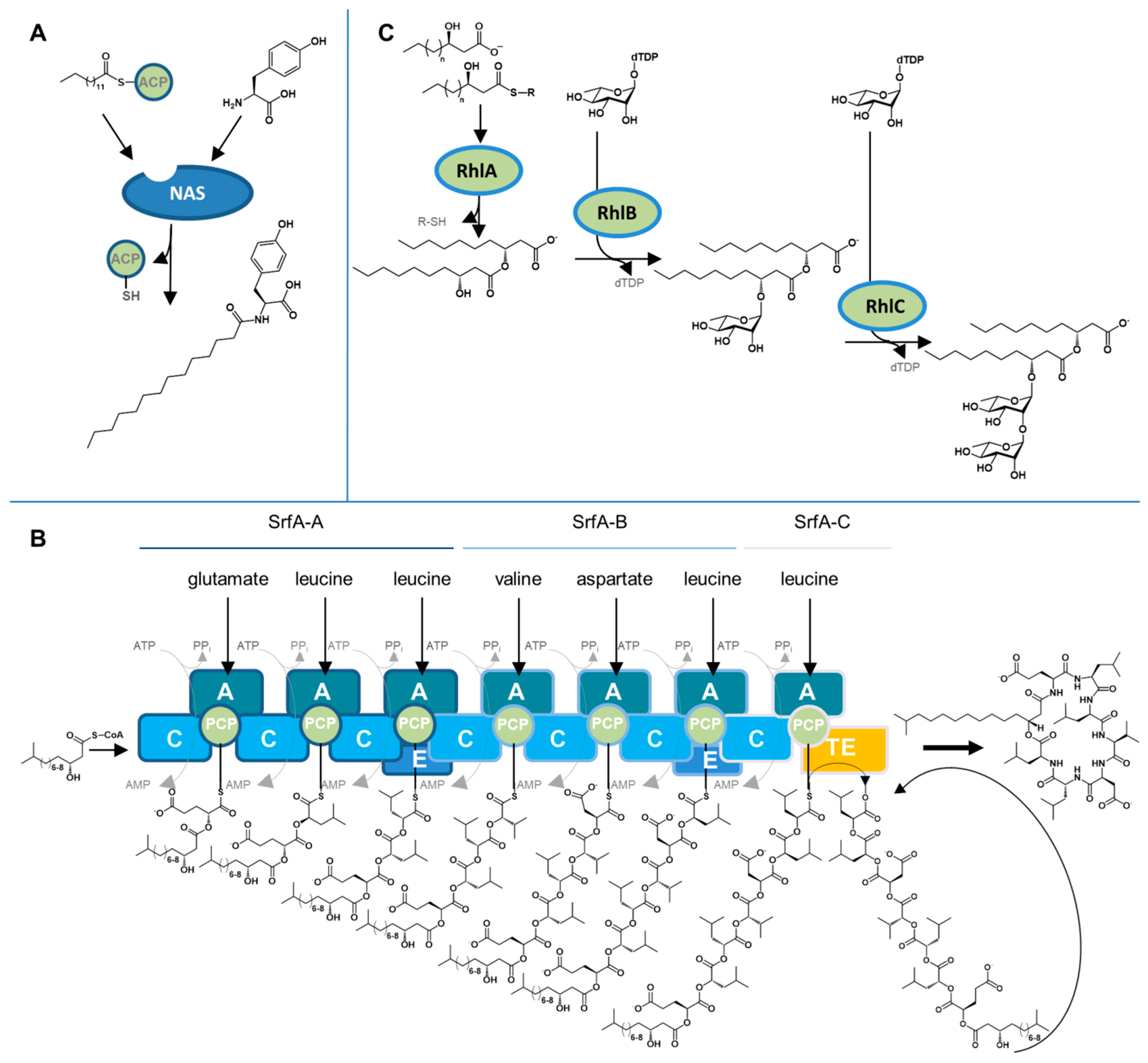 Marinedrugs 17 00408 g002
