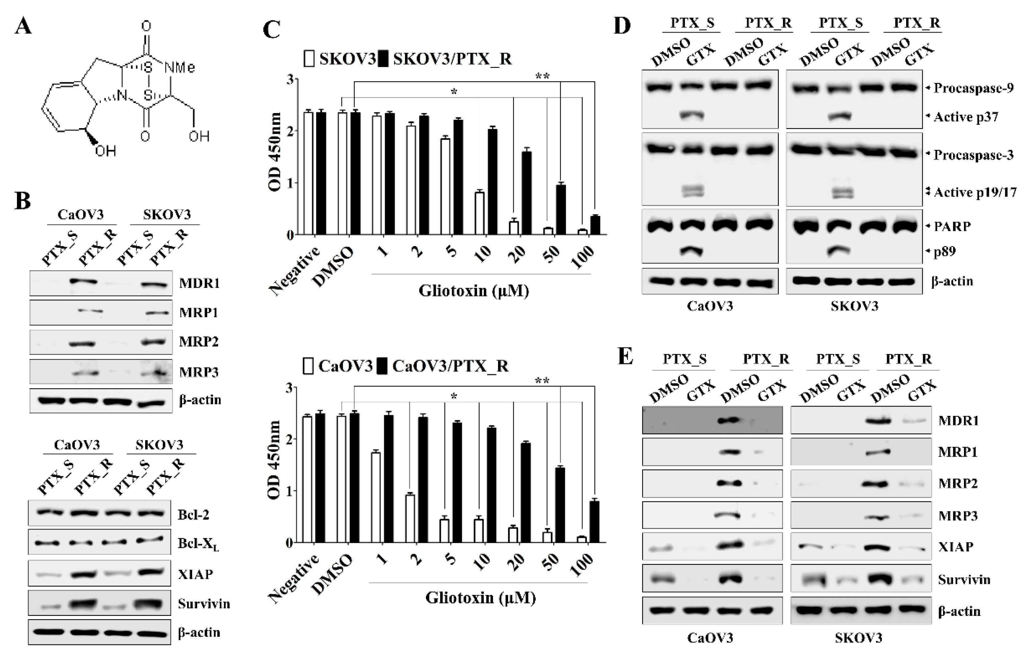 Marinedrugs 17 00412 g001 Marinedrugs 17 00412 g001