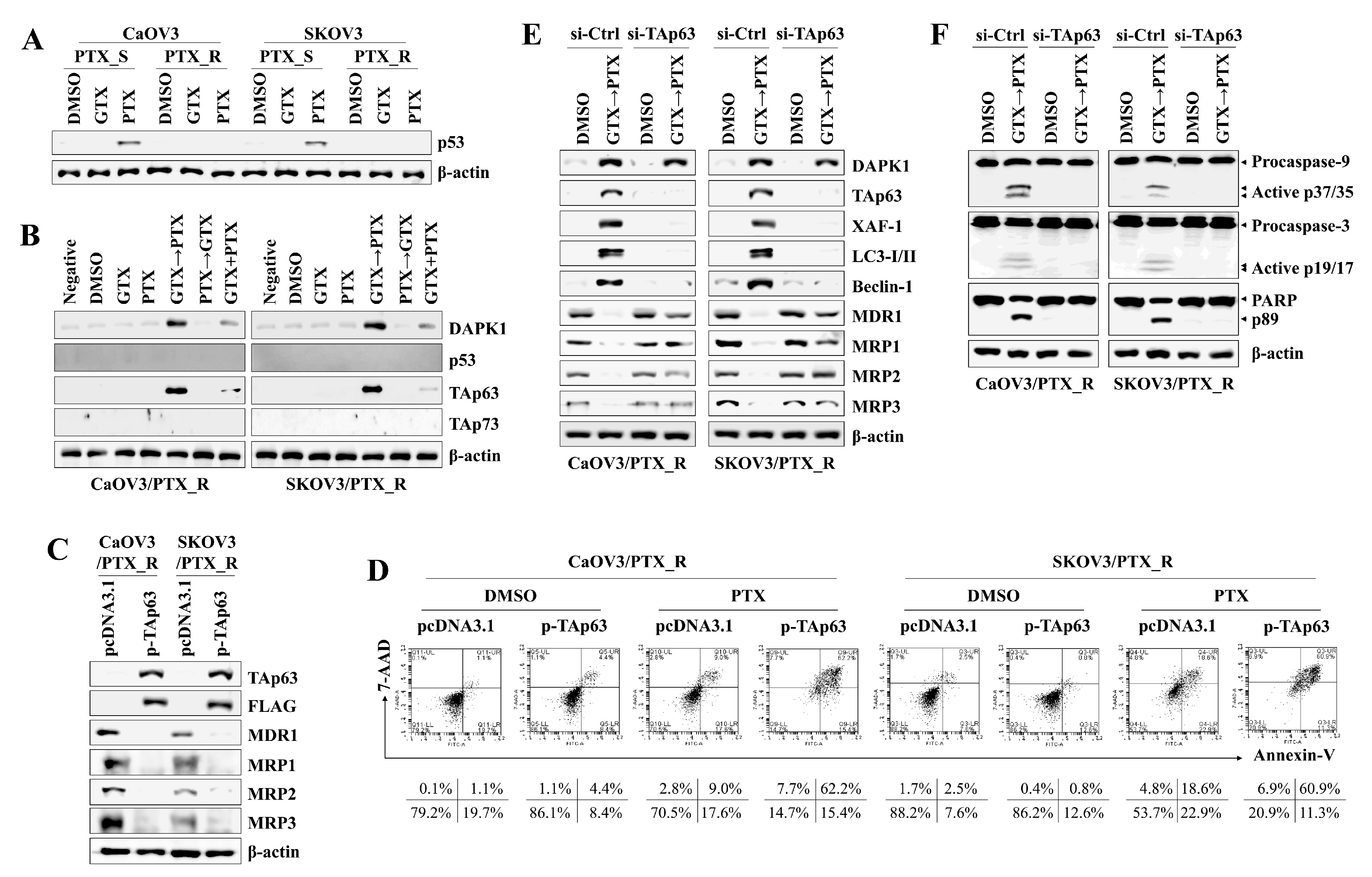 Marinedrugs 17 00412 g003 Marinedrugs 17 00412 g003