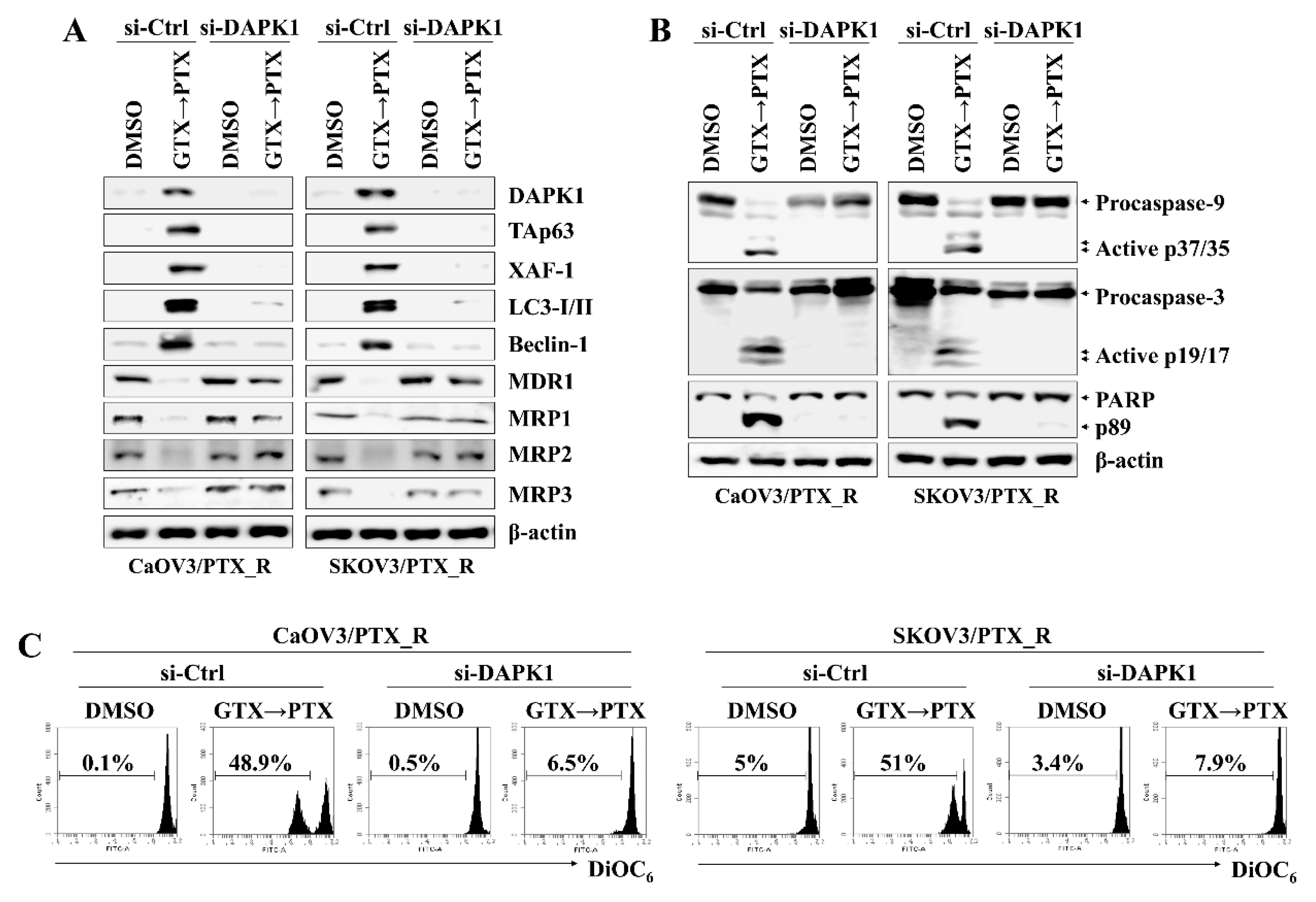 Marinedrugs 17 00412 g004 Marinedrugs 17 00412 g004
