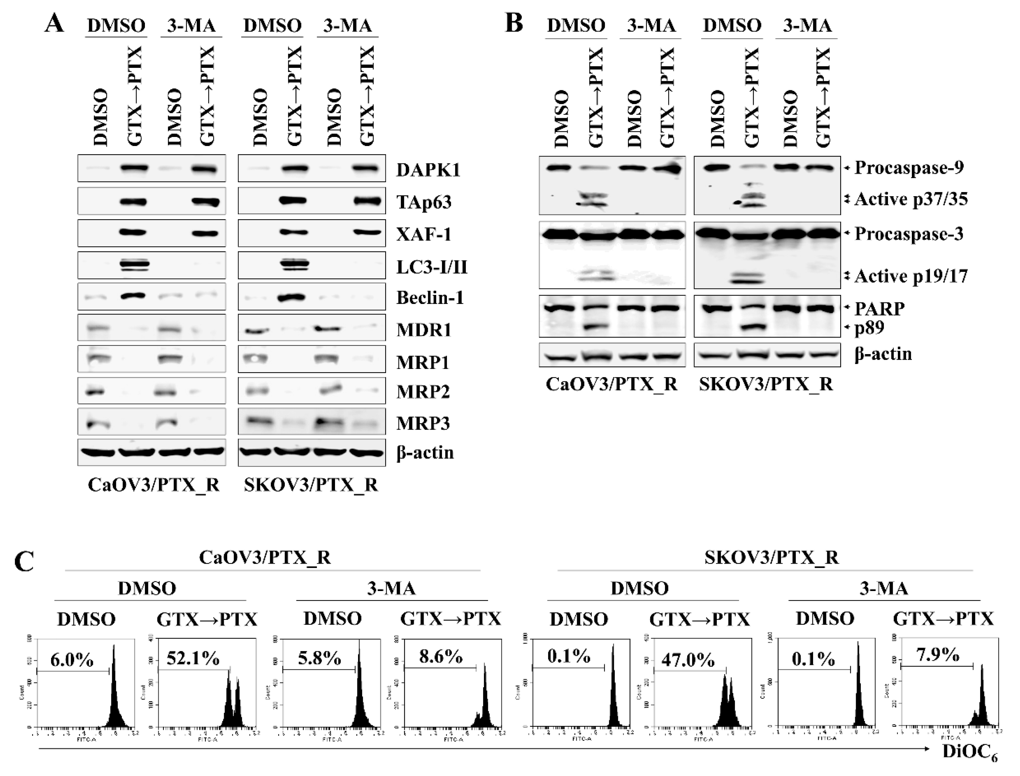 Marinedrugs 17 00412 g005 Marinedrugs 17 00412 g005